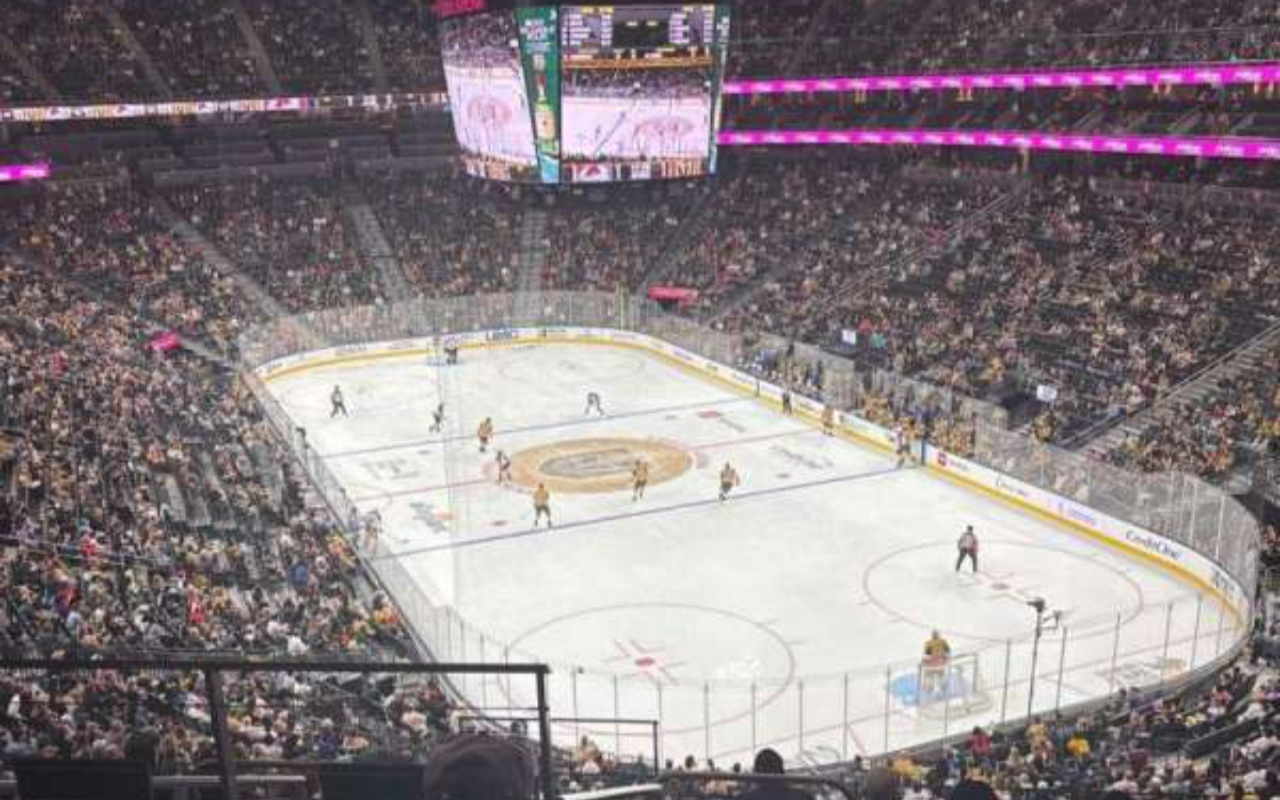 坐下來，沉浸在金騎士隊在冰上競技時所散發出的高能量氛圍中。