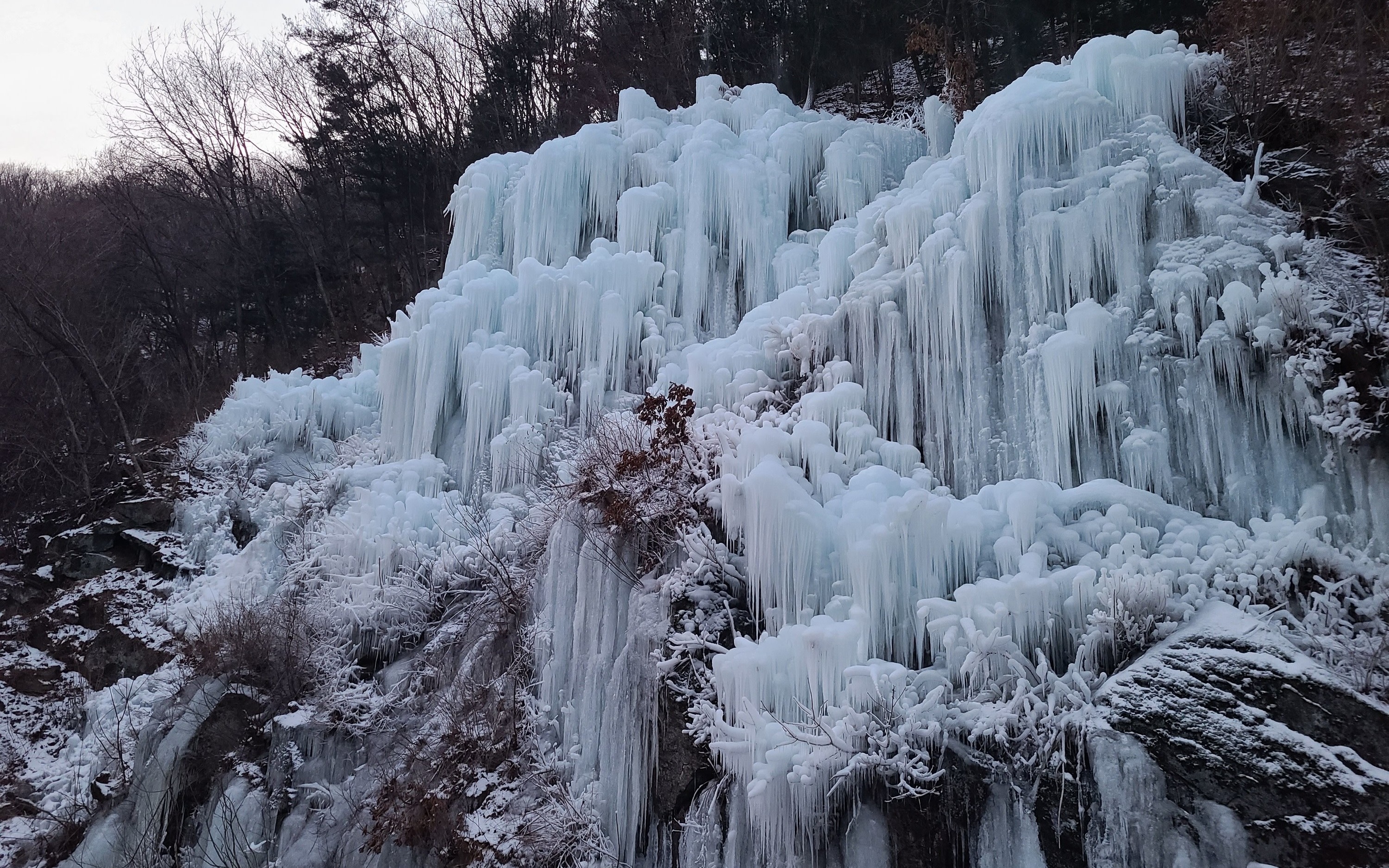 Feel the Korea winter in the Ice valley and Snow sledding park