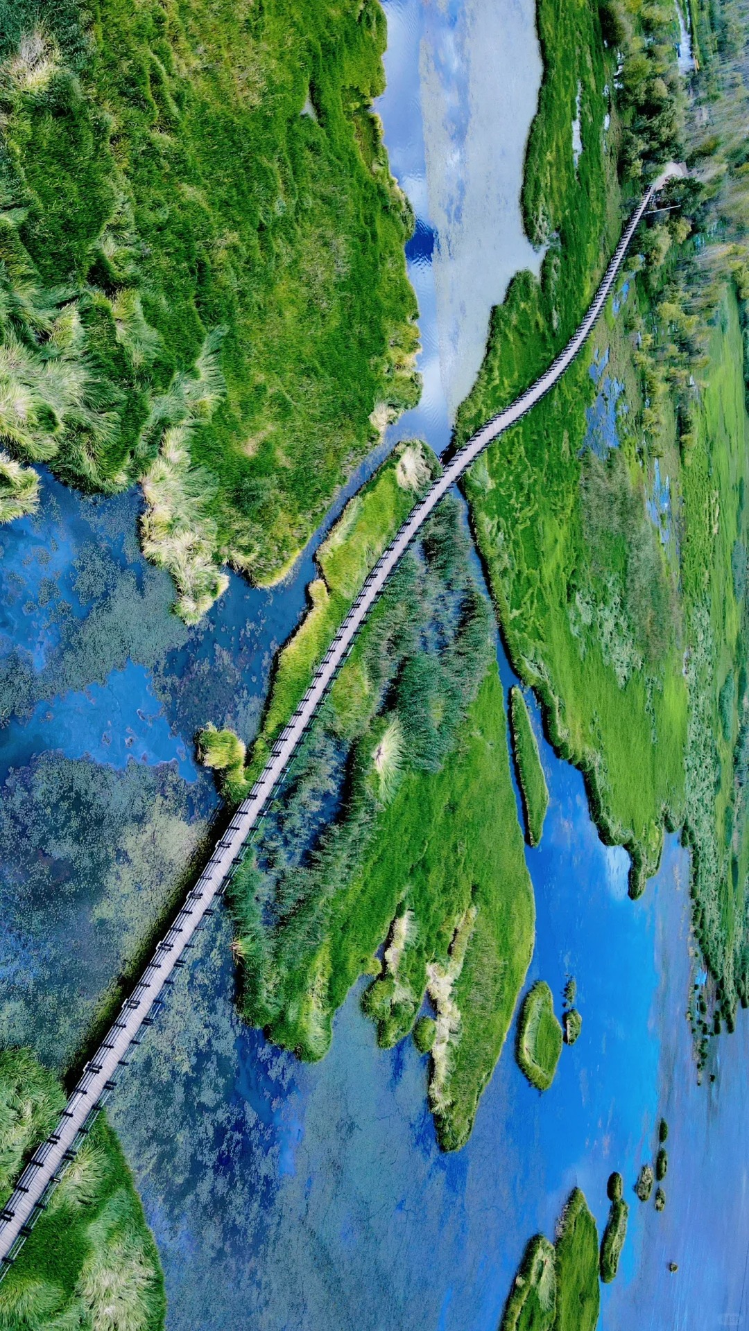 雲南瀘沽湖1日遊商務車小團（麗江往返+山路十八灣+瀘沽湖觀景臺+情人灘+裡格半島觀景臺+豬槽船遊湖+草海+走婚橋）