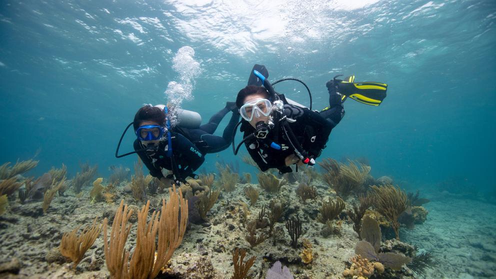 內格羅斯島 PADI 潛水中心初學者潛水課程