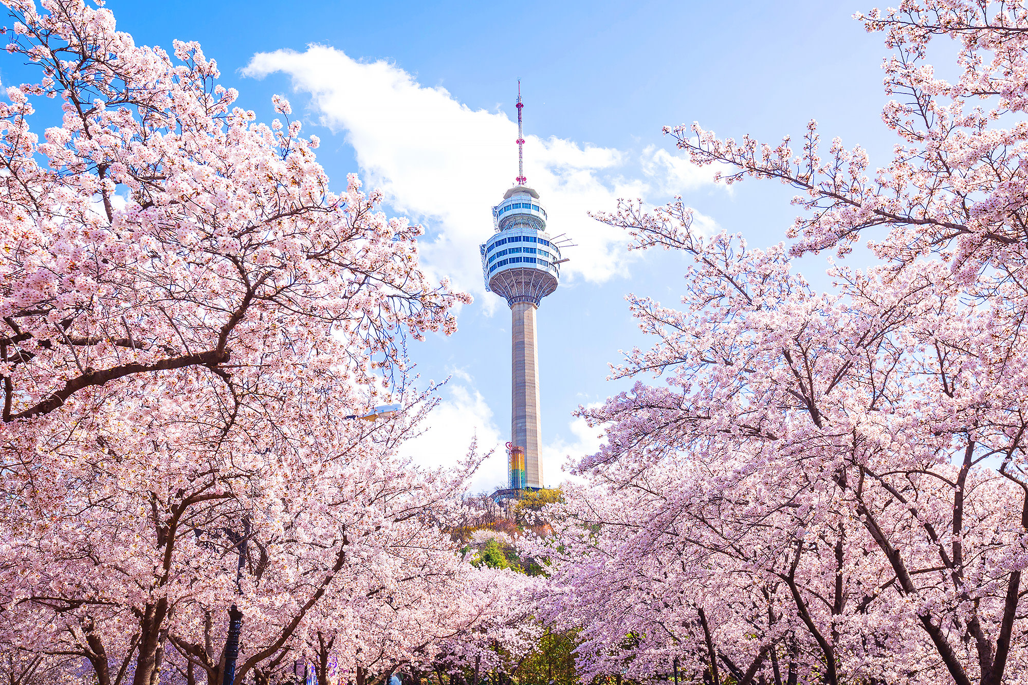 Daegu Day Tour: Palgongsan Cable Car · E-World & 83 Tower Night View