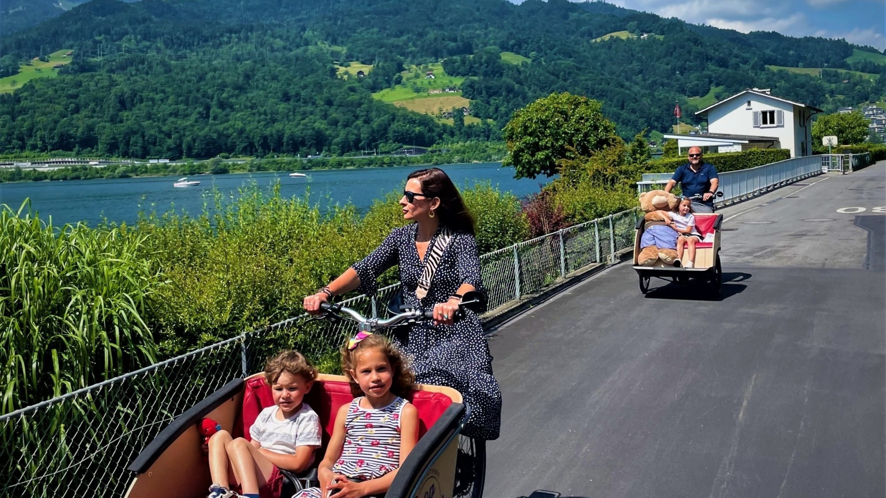 Lucerne Half-Day Small Group Electric Bike Sightseeing Tour