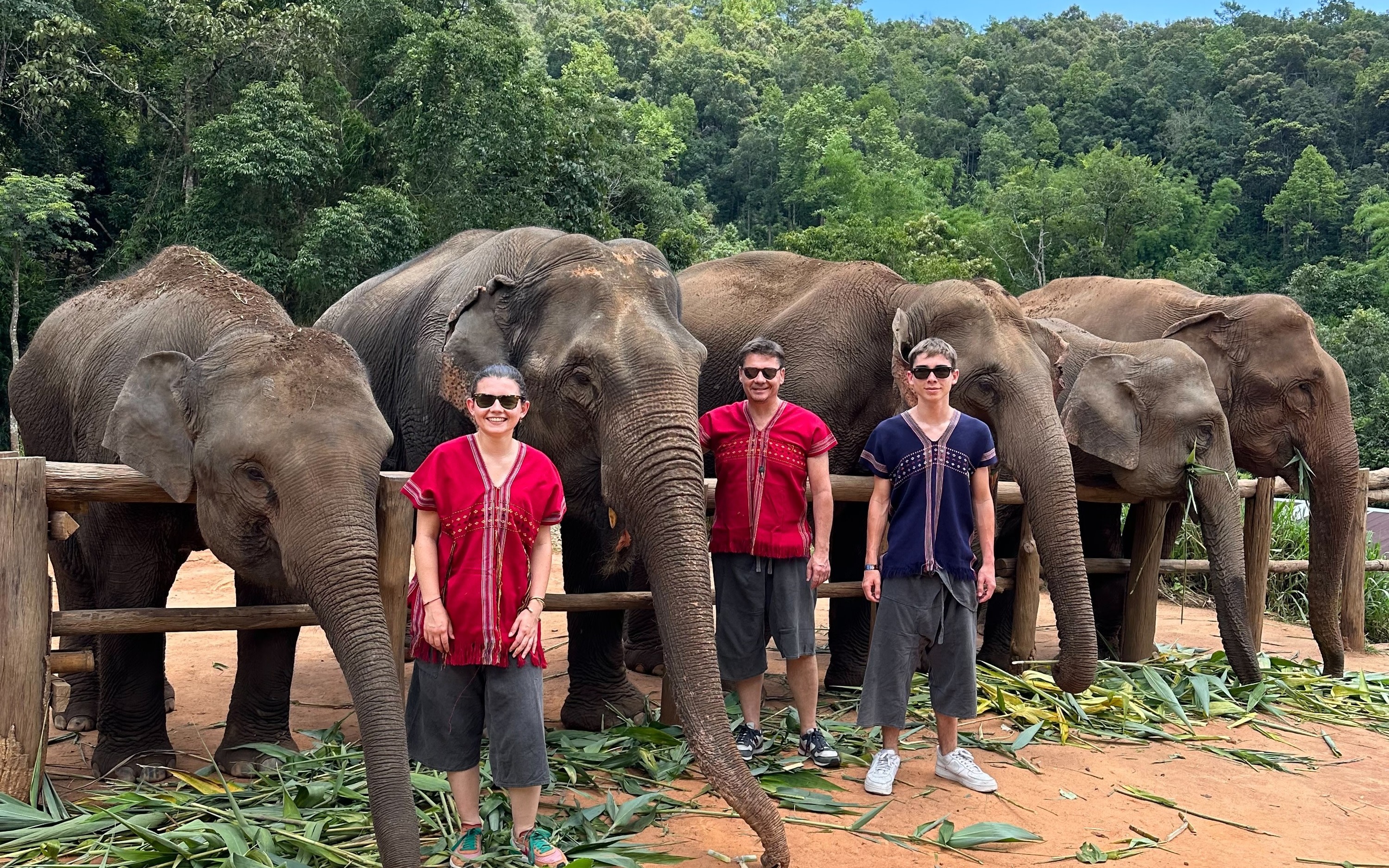 Elephant Land Visit One Day Tour