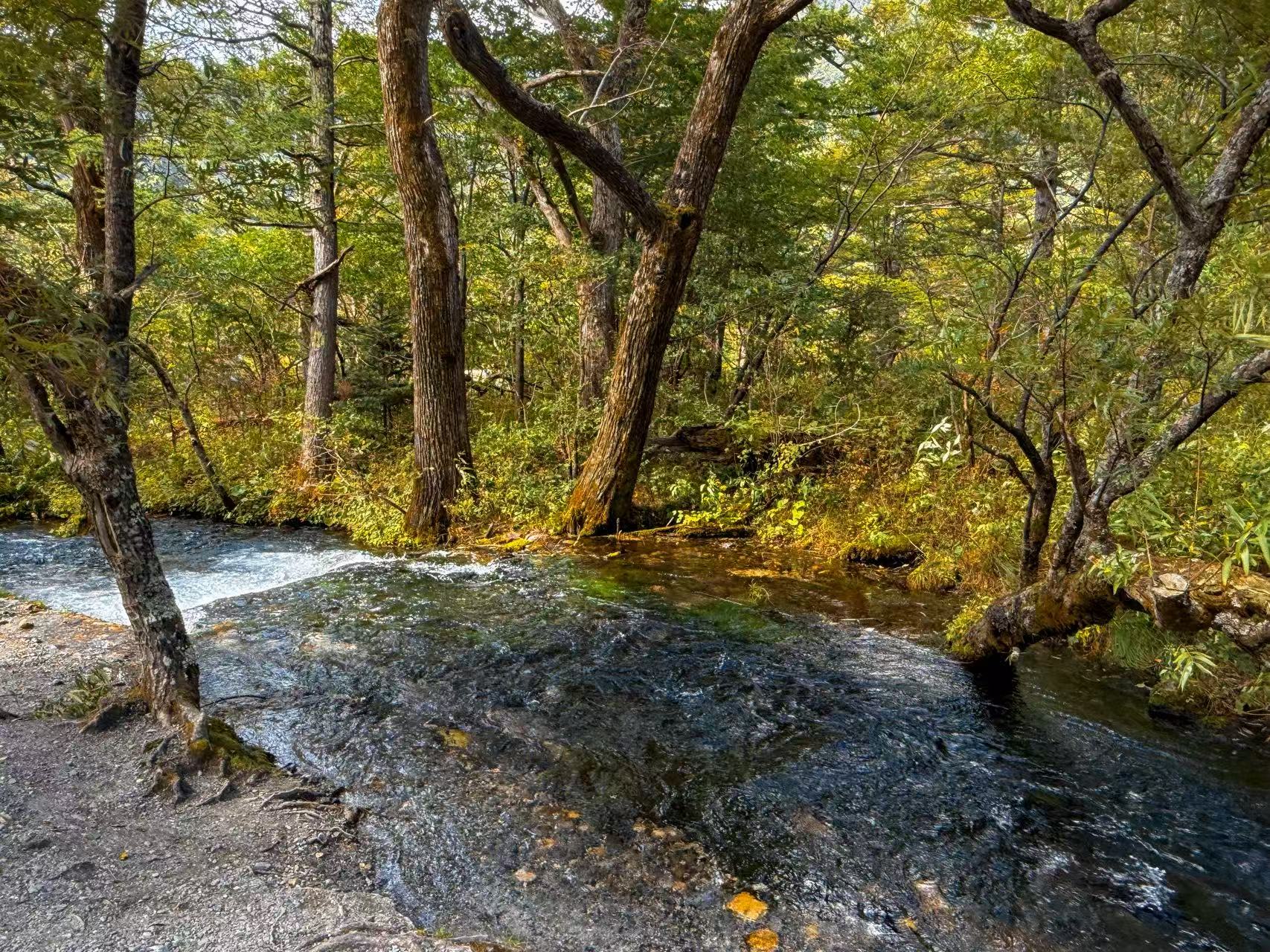 梓川河畔 梓川河畔