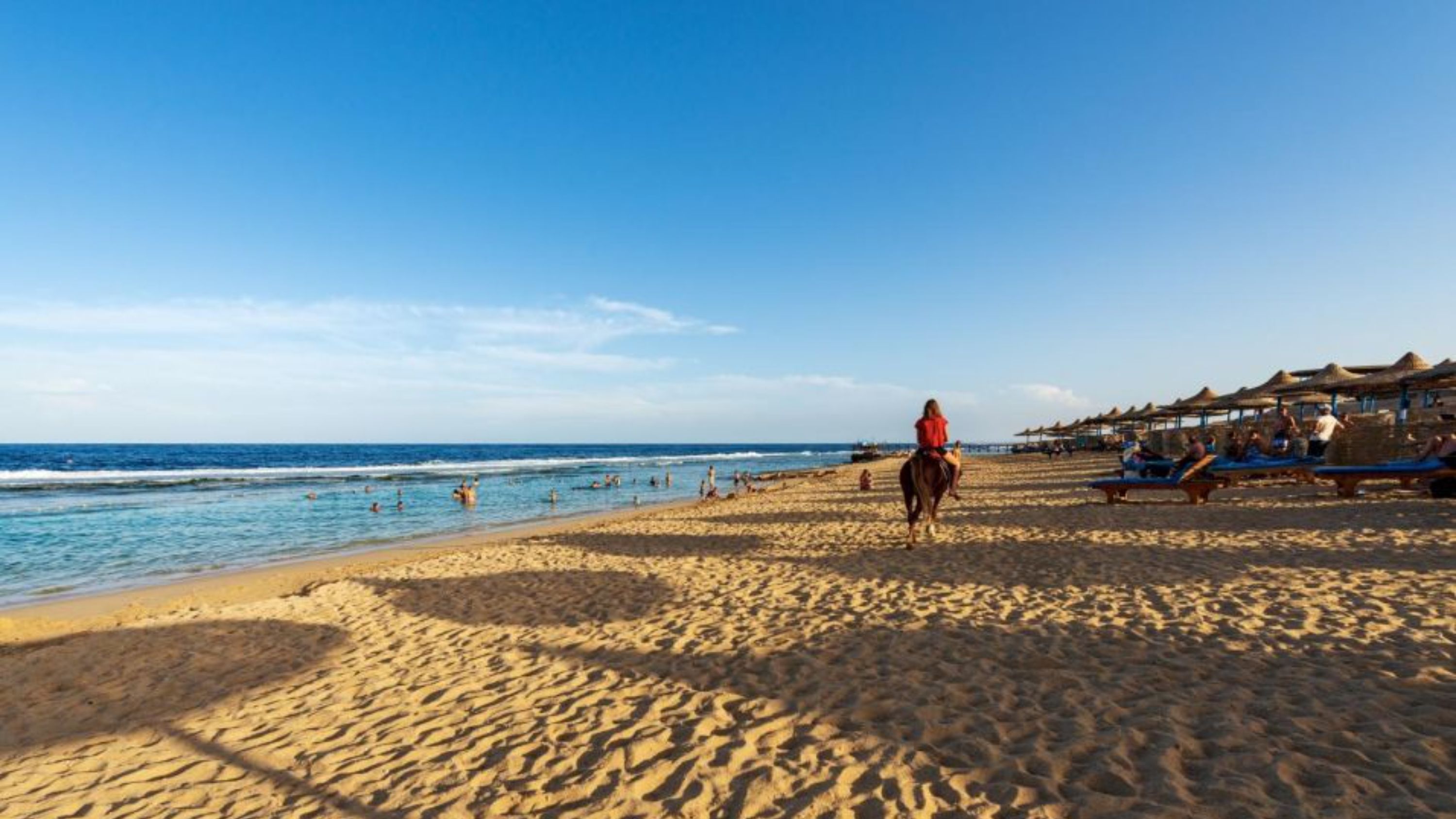 感受在金色沙漠沙丘和無盡沙地上馳騁的刺激 感受在金色沙漠沙丘和無盡沙地上馳騁的刺激