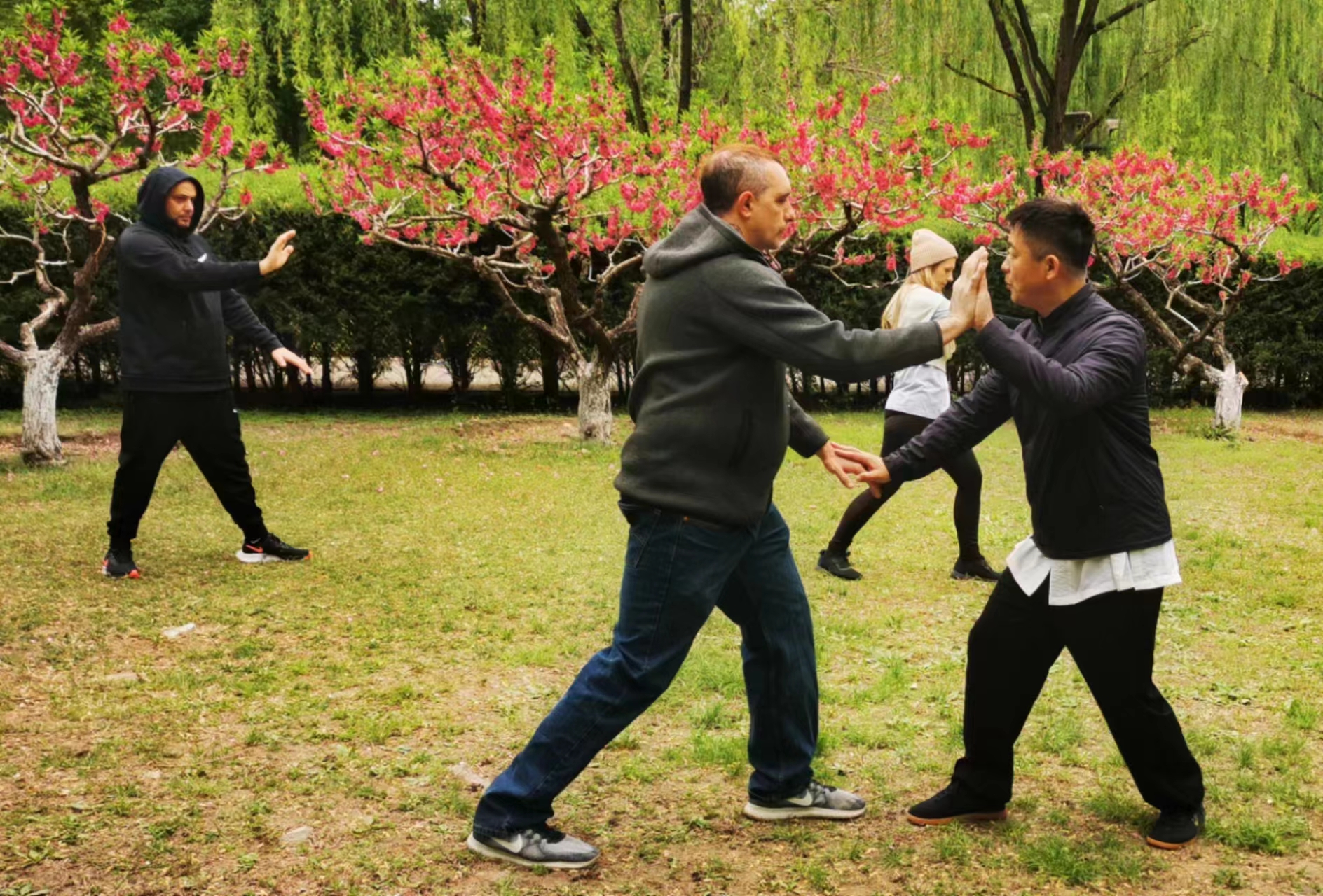 Beijing Tai Chi and Tea Ceremony Experience