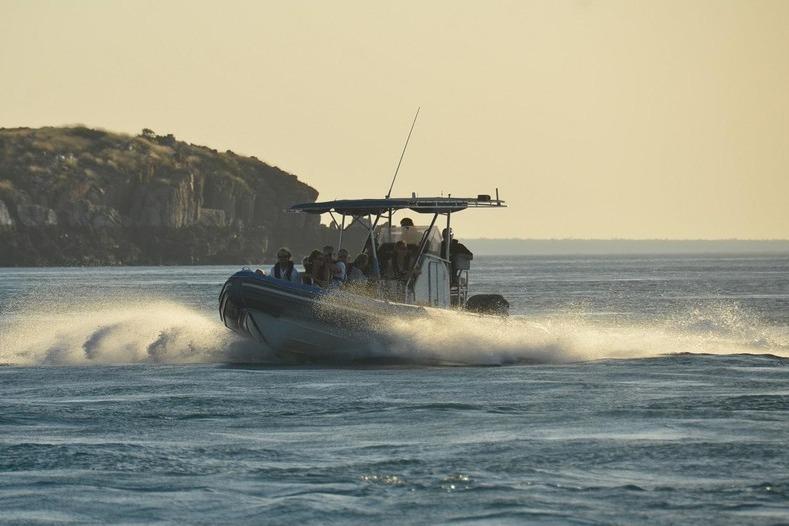 Giant Tides Sea Safari Tour in Cygnet Bay