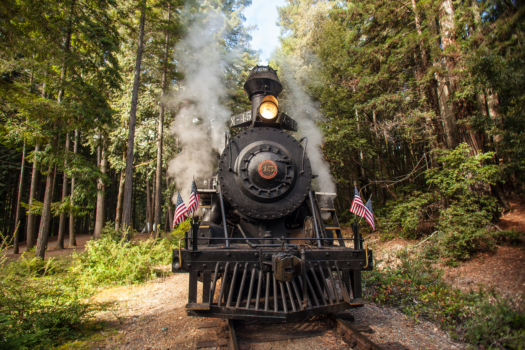 Wolf Tree Turn Scenic Train Tour in Mendocino