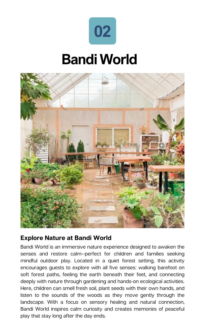 [INCHEON WELNESS] Read in Nature A Peaceful Healing Trip