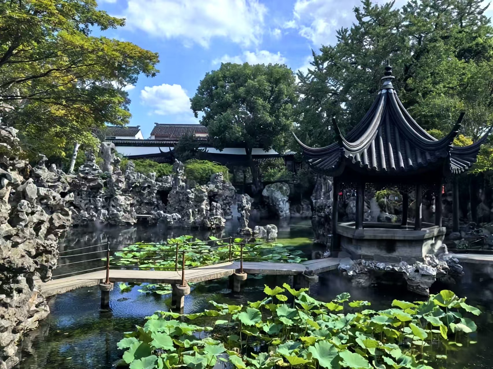 獅子林以大規模、迷宮般的太湖石假山群著稱，其山體洞壑盤旋，宛若曲折迷離的立體陣法，被譽為“假山王國”。