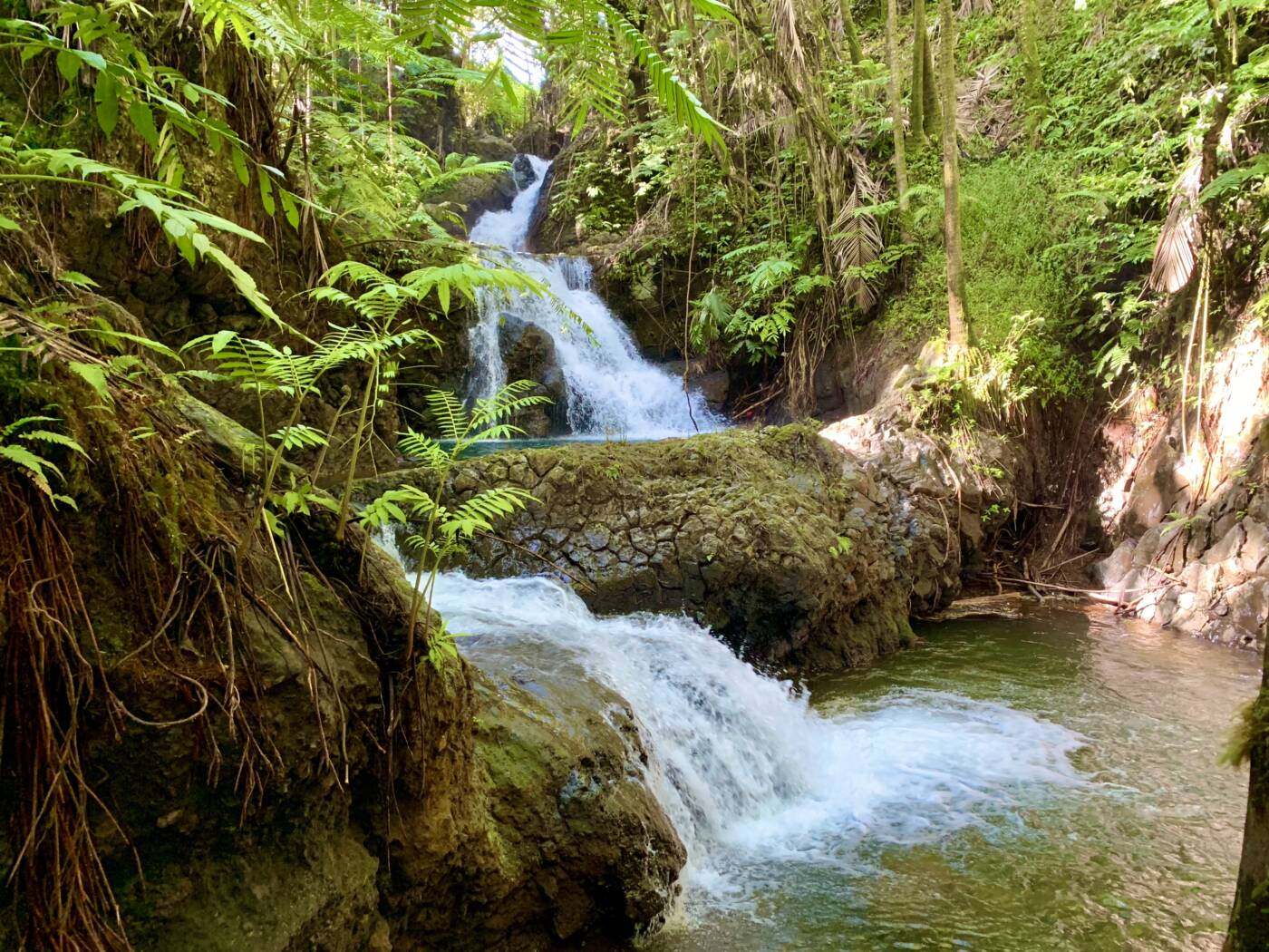 漫步於靜謐的森林小徑,通往隱密的多層瀑布水潭。 漫步於靜謐的森林小徑,通往隱密的多層瀑布水潭。