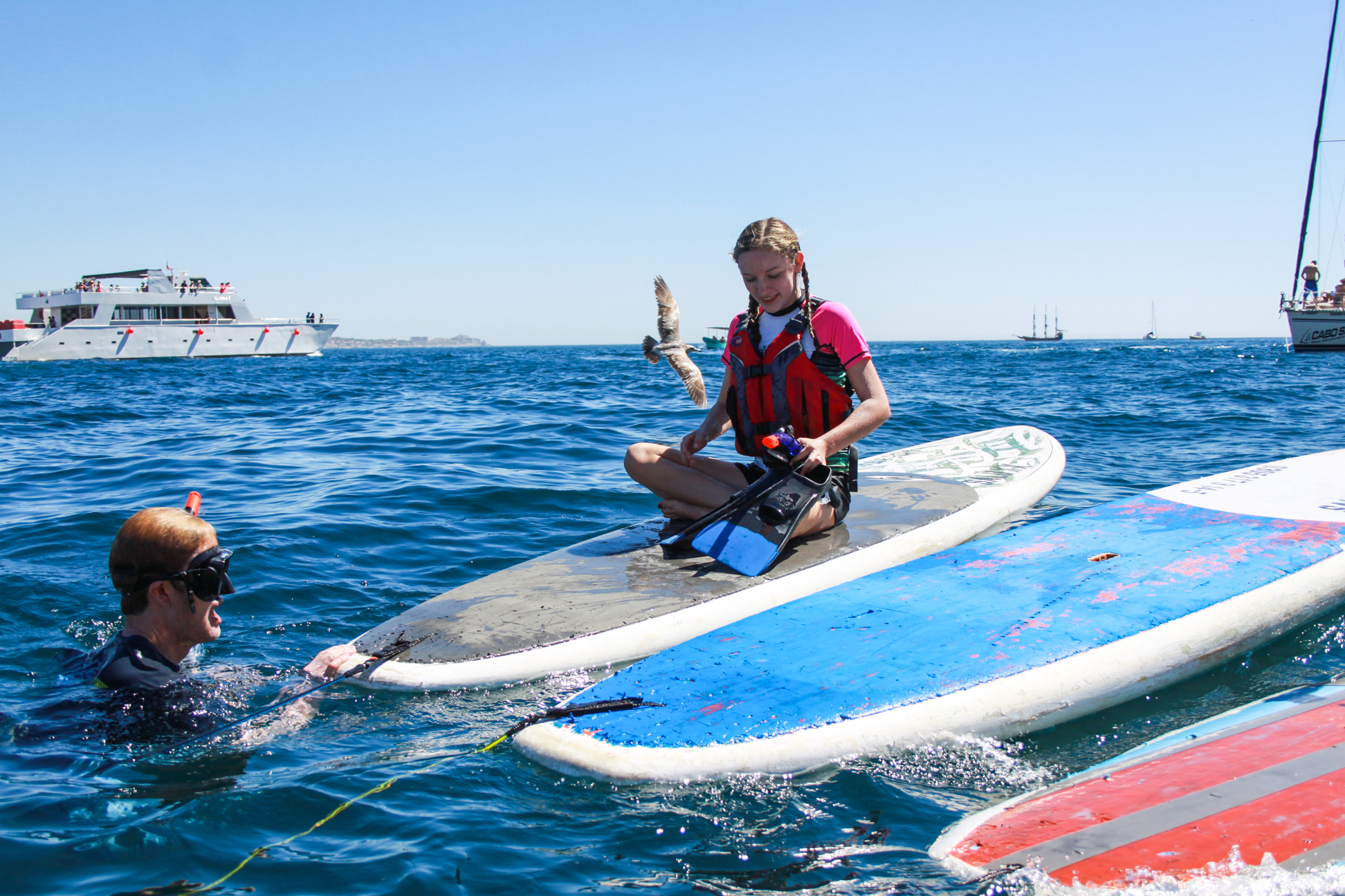 Receive expert guidance from an instructor, ensuring a safe and enjoyable paddleboarding experience