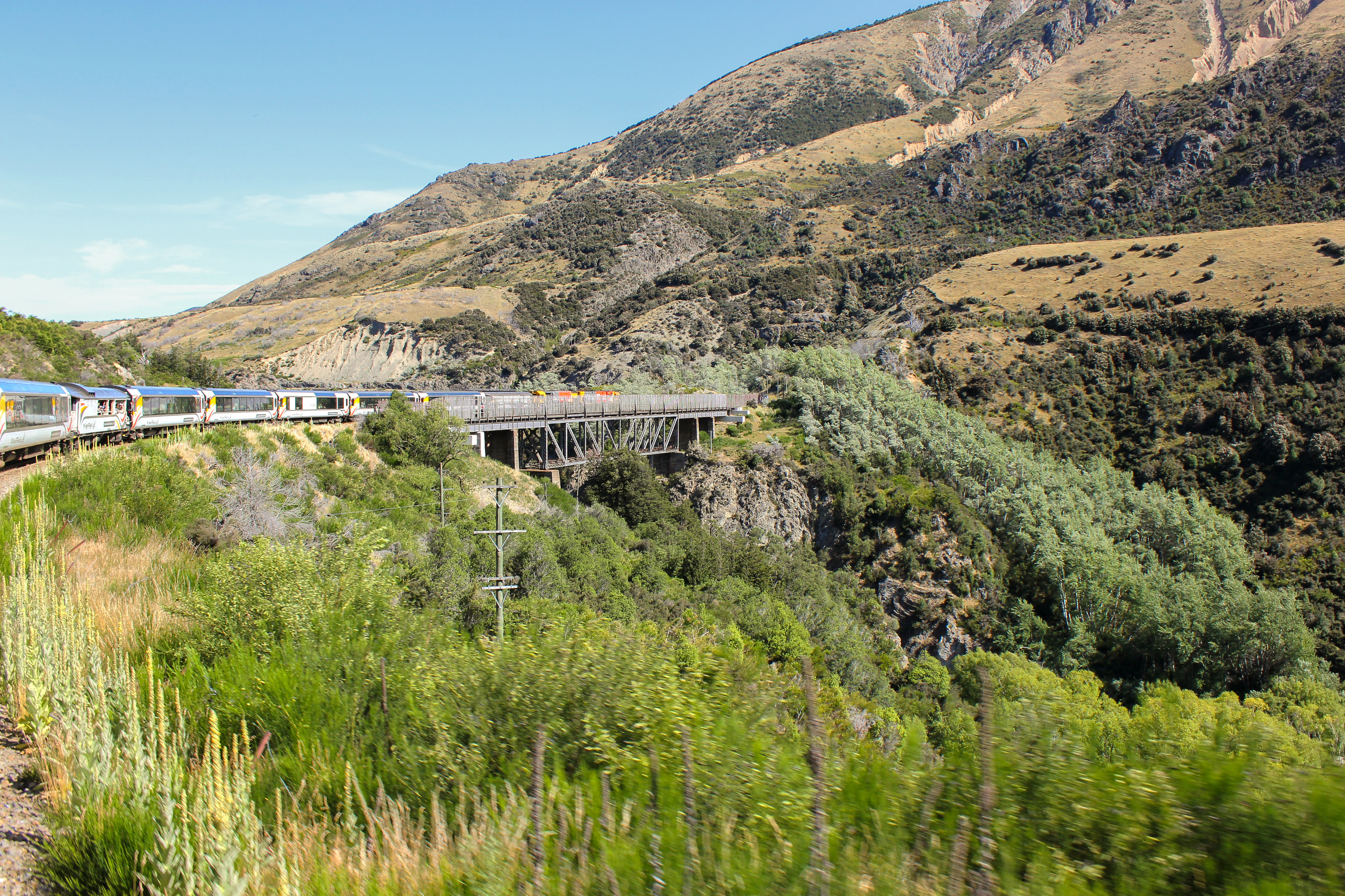 Experience the thrill of traveling on one of the world's most scenic train routes