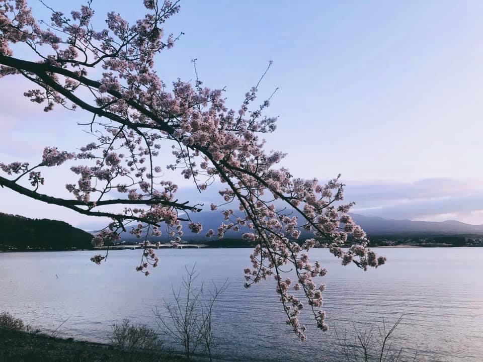 【中文／英語導遊】富士山經典路線一日遊（東京出發）