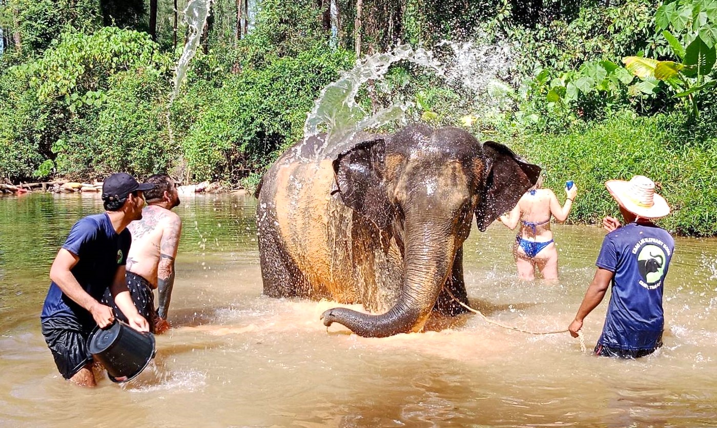 Khaolak Elephant Interaction: Feeding - Bathing - Mud Spa - Walking