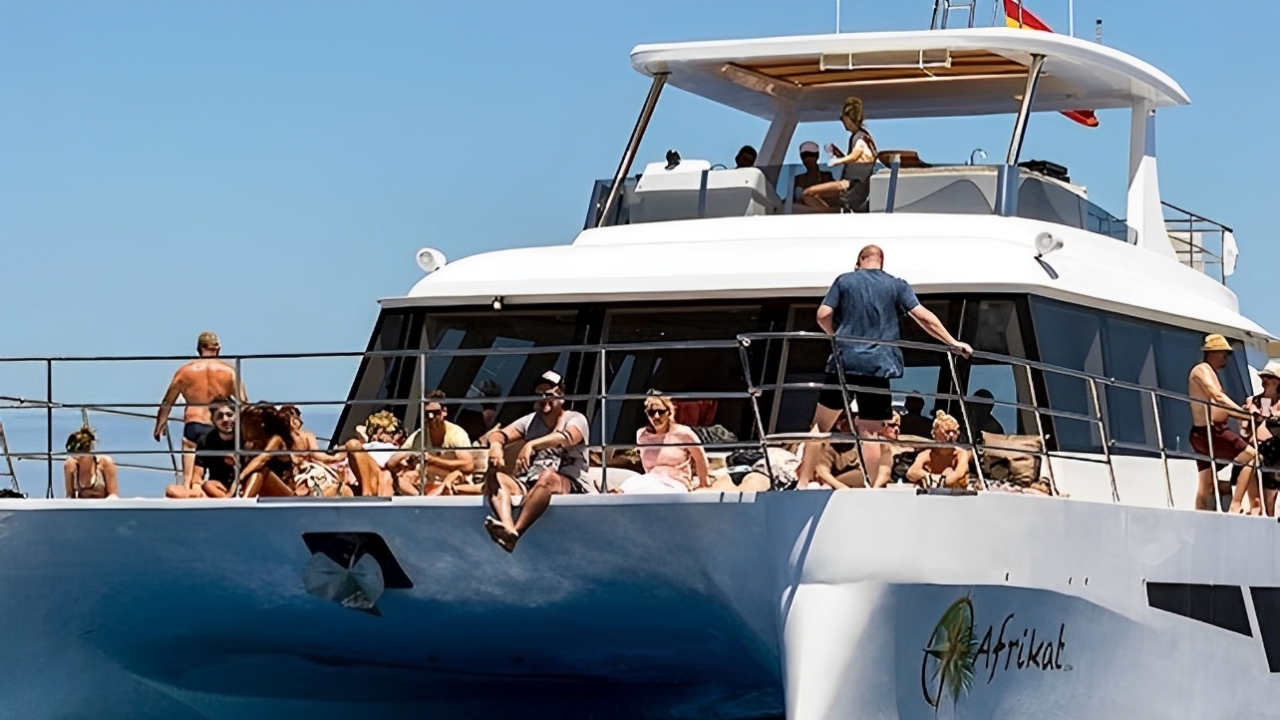 Catamaran cruise experience in Gran Canaria