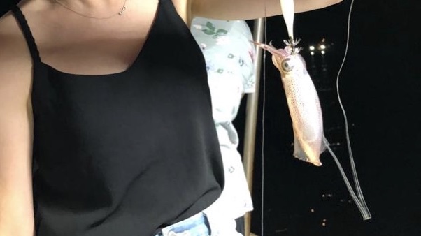 西式遊艇出海之旅 夜遊維港 連餐飲 夜釣墨魚魷魚團