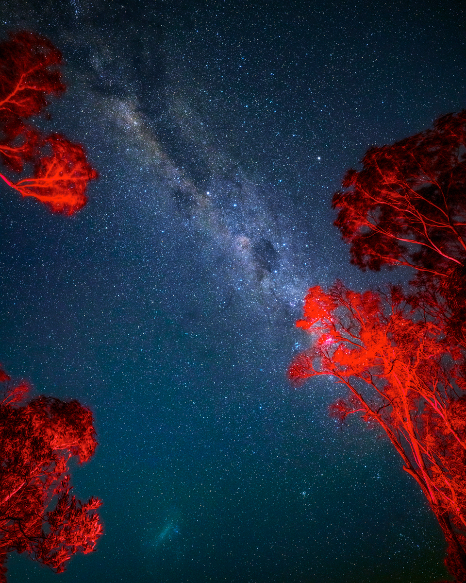 藍山觀星體驗