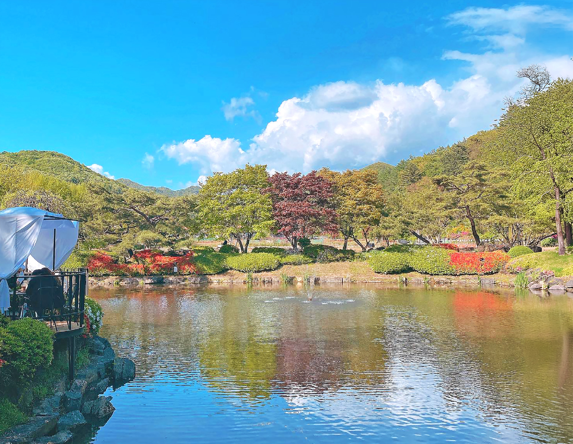 🌸 我們一起去盡情享受這閃爍的春天好嗎？