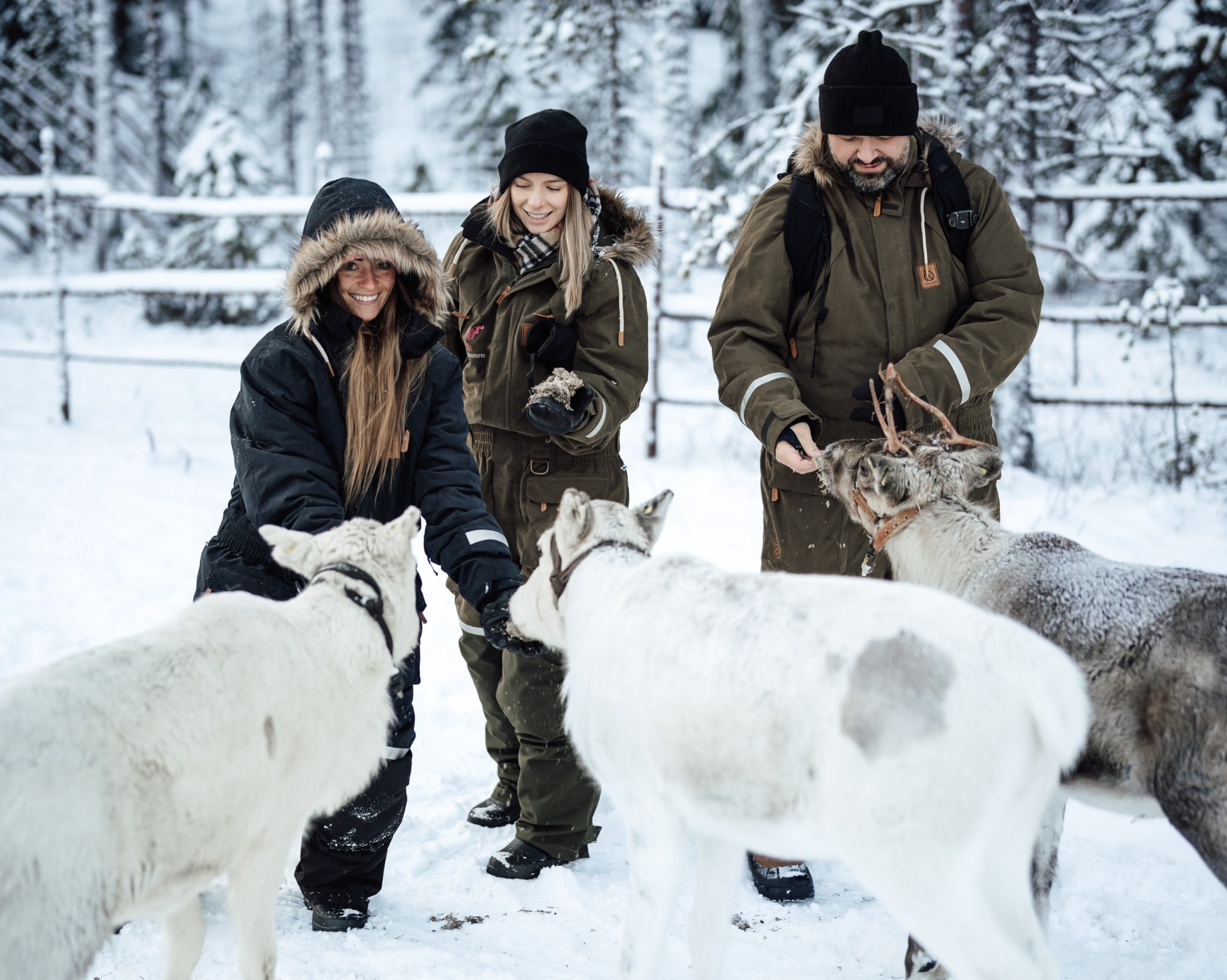 Lupland’s Winter Activity Park Ranua