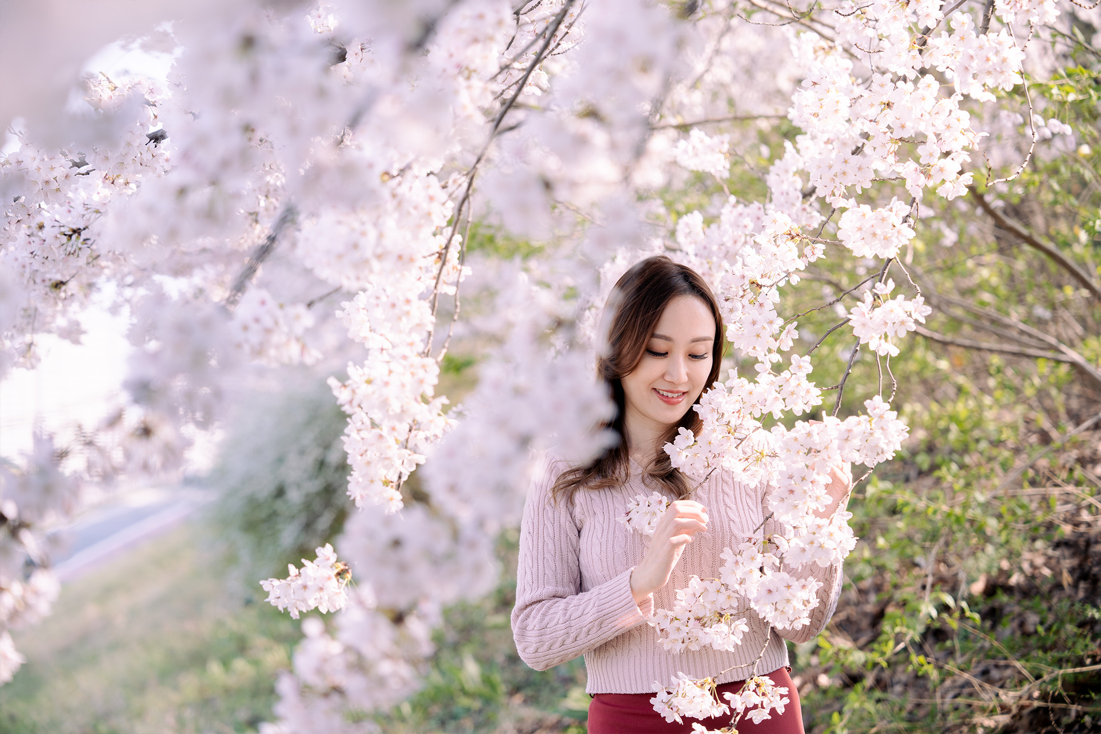 Seulda samimiy sayohat fotosessiyasi