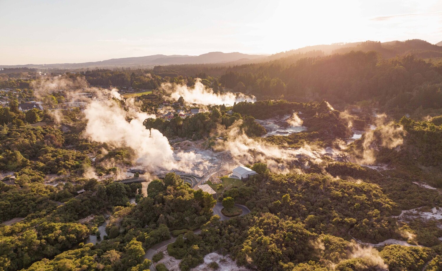 沉浸式體驗蒂瓦卡雷瓦雷瓦地熱谷 (Te Whakarewarewa Geothermal Valley) 的奇景