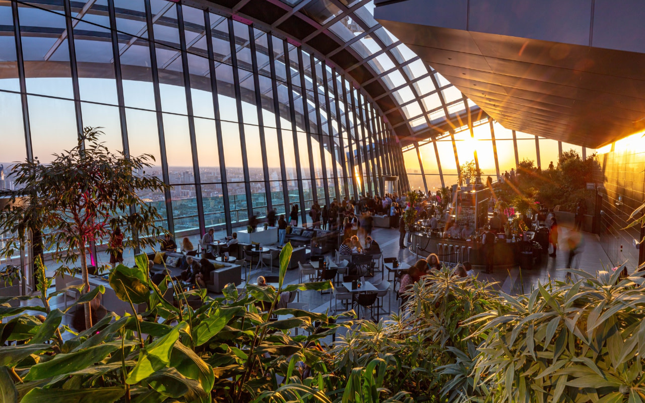 Sky Garden Ticket with Dinner at The Larch & Audio Guide