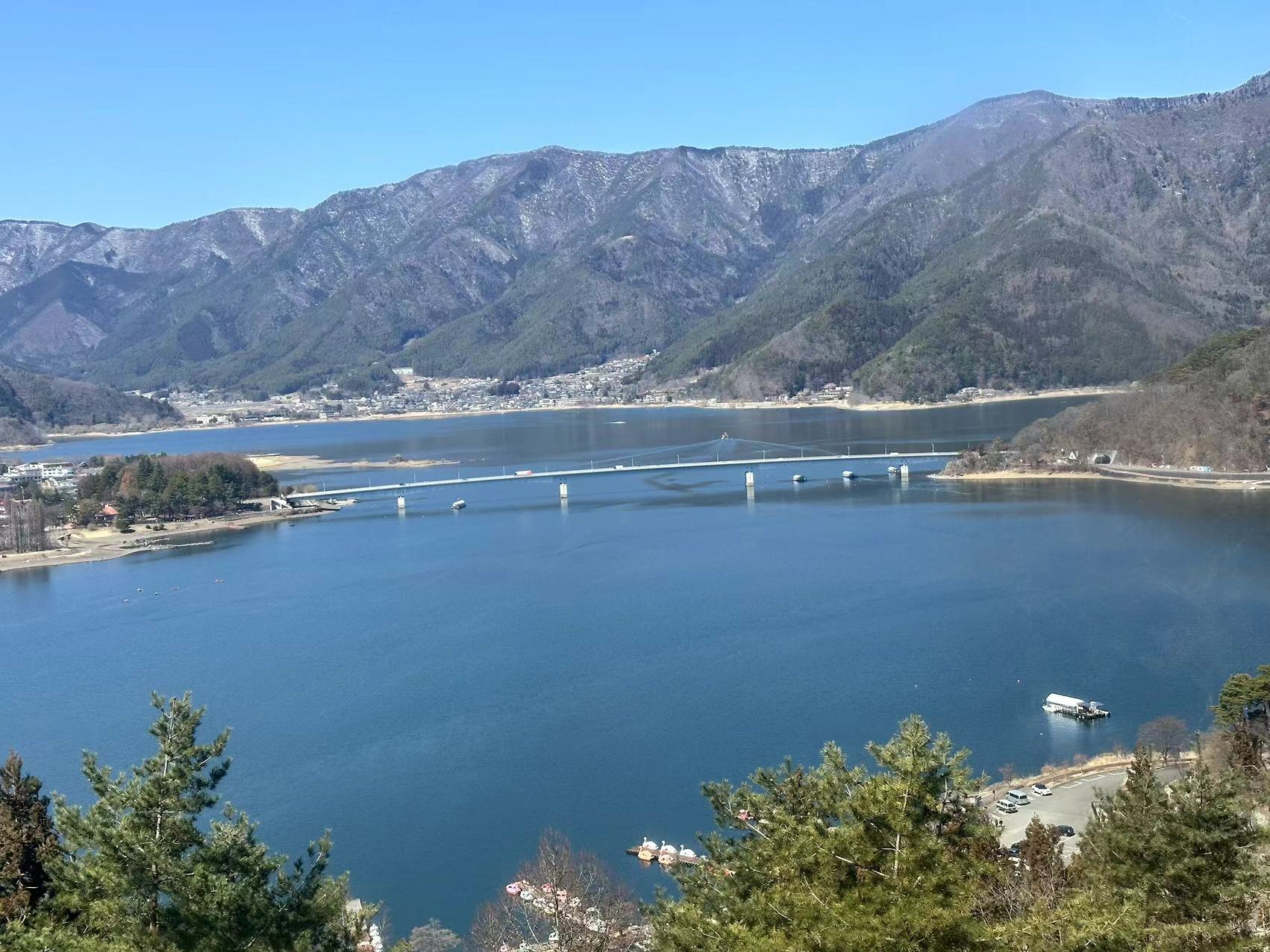富士山五合目賞花打卡一日遊｜五合目&忍野八海&山中湖喂天鵝&河口湖大石公園（可選中英文服務）