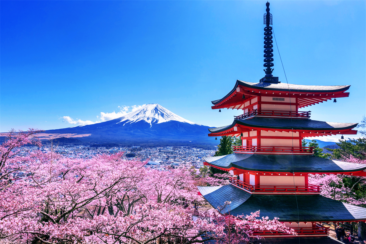 富士山探索之旅-新倉山淺間公園·天梯小鎮·忍野八海·河口湖大石公園·西湖療愈里根場一日遊
