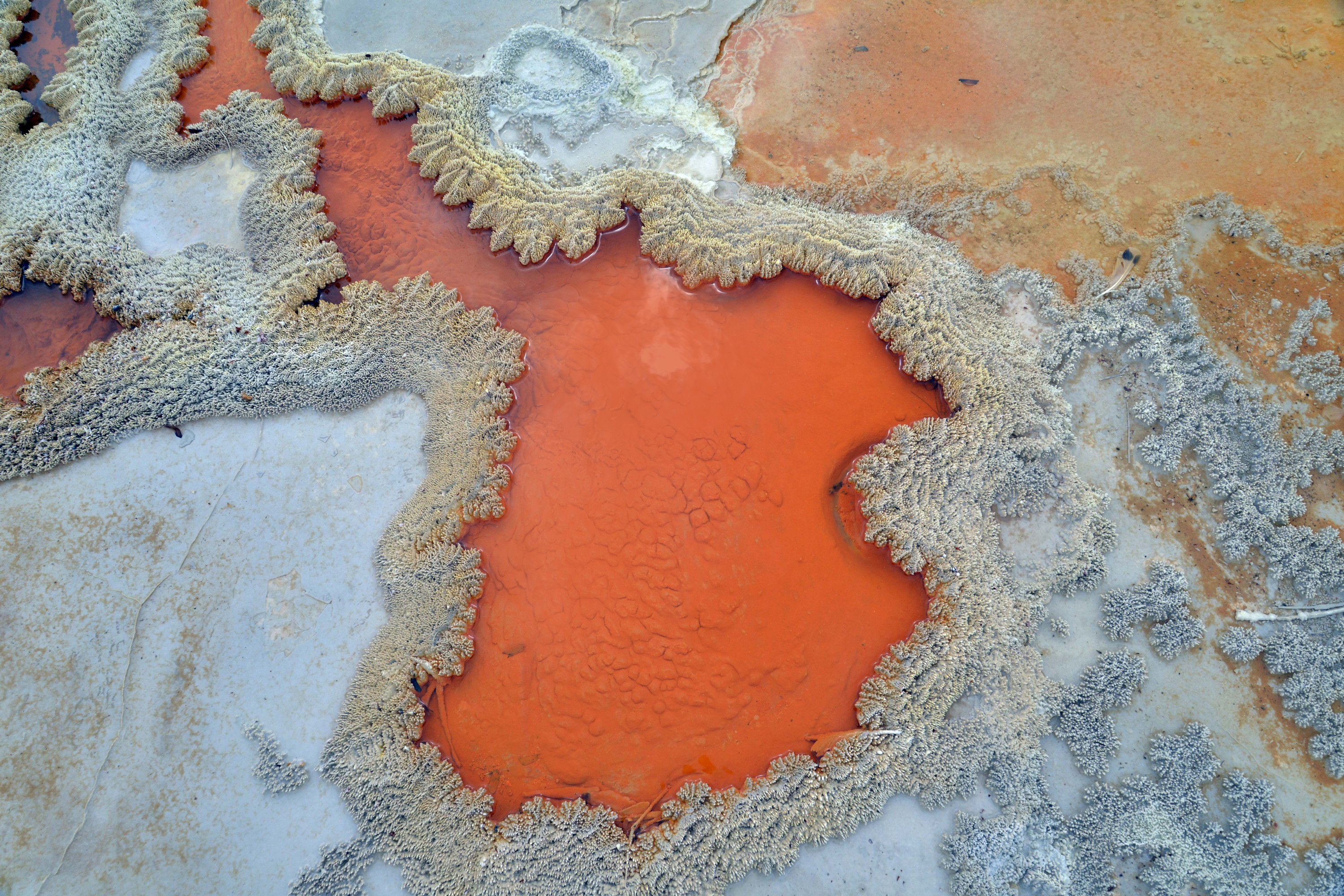 Wai-O-Tapu, Polynesian Spa & Maori Haka Day Tour from Auckland