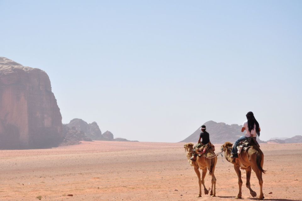 Sahl Hasheesh：四輪車、吉普車、越野車、駱駝（含晚餐和表演）