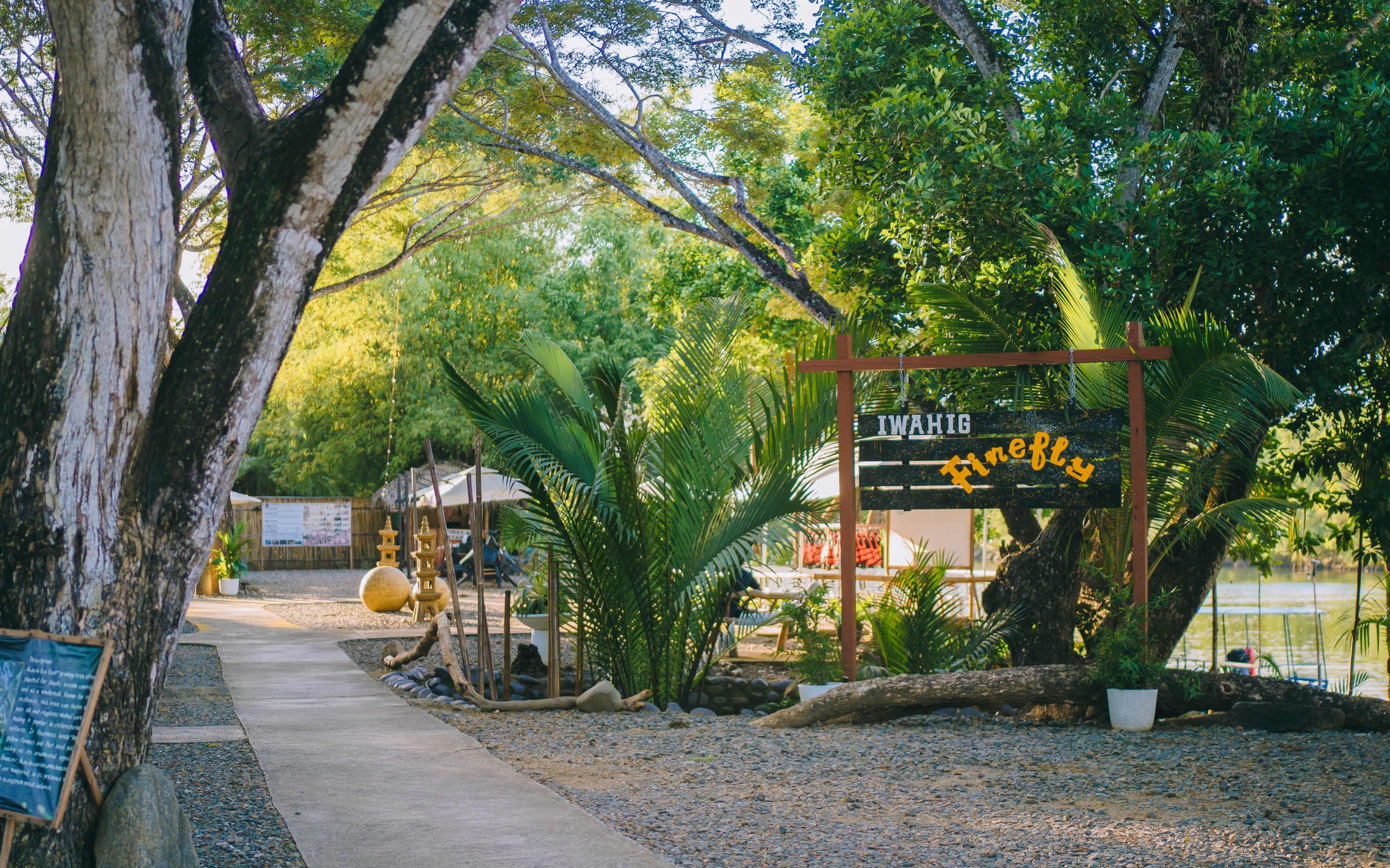 Iwahig Firefly Watching Tour in Puerto Princesa 