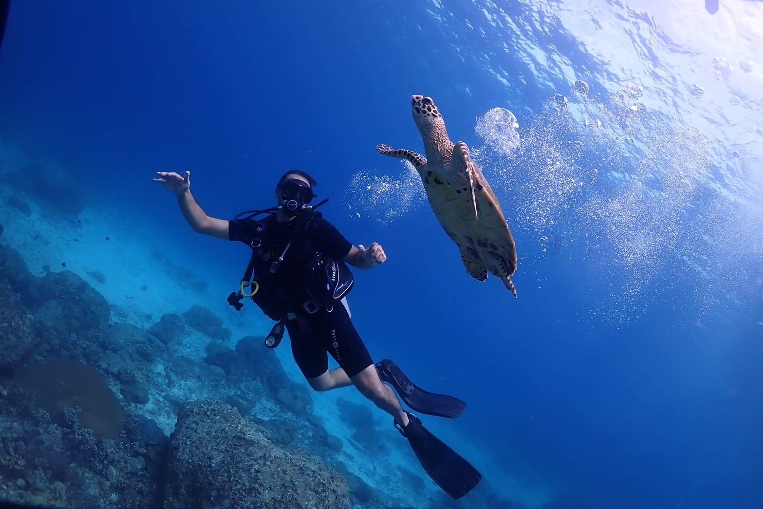 從普吉島探索Racha Yai島的水肺潛水