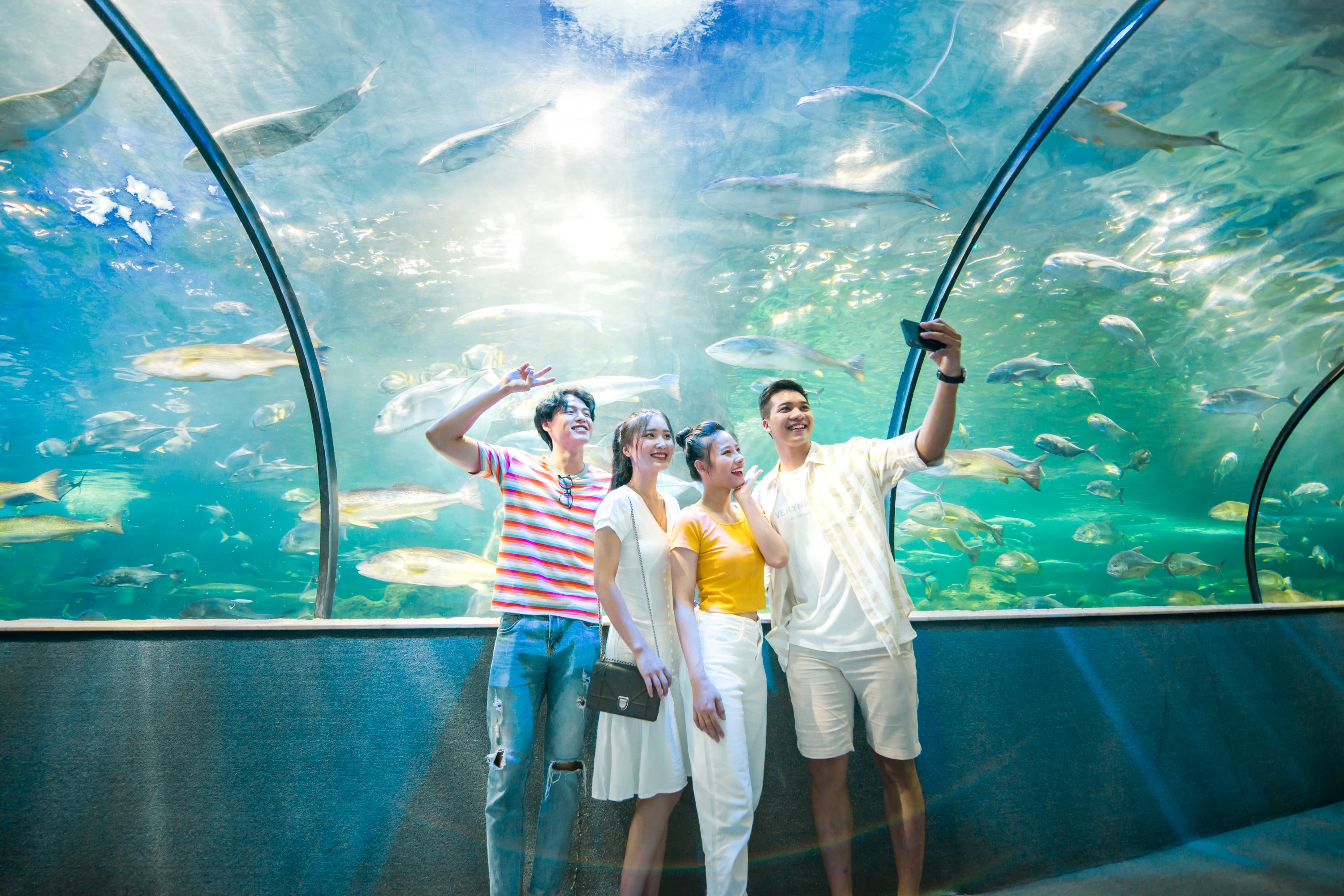 ヴィンケ＆ヴィンパール水族館 入館チケット（ハノイ）