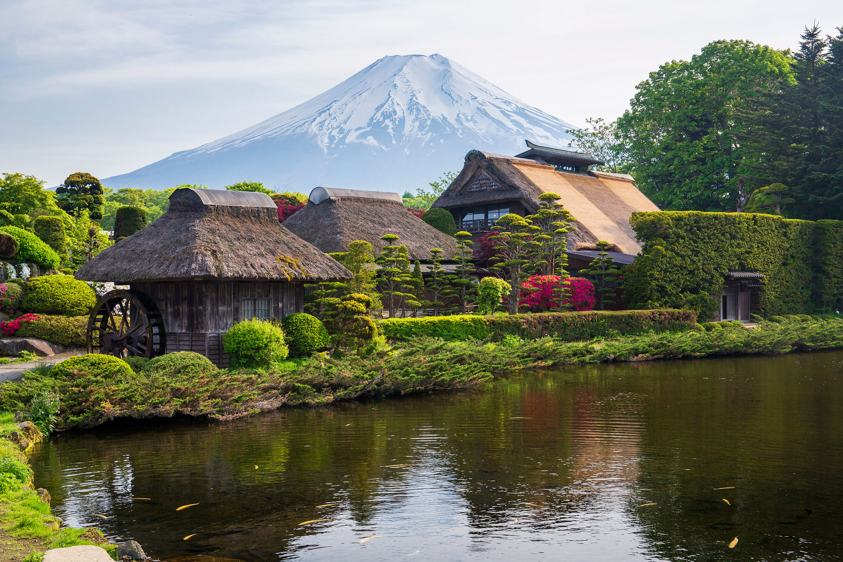 新倉山公園 & 富士山五合目 & 河口湖抹茶體驗 & 忍野八海一日遊