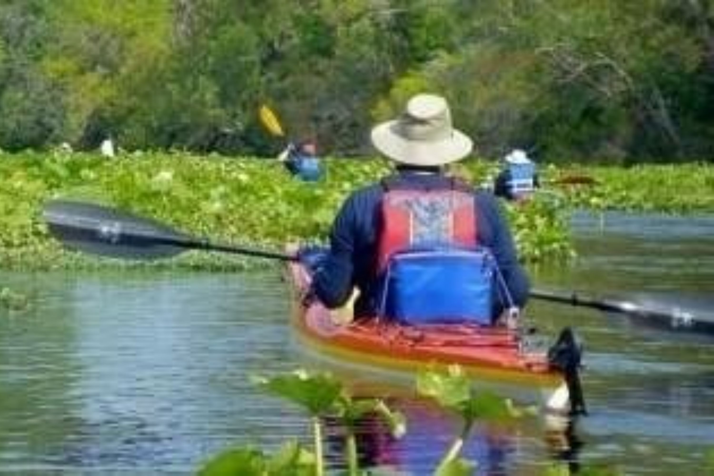 Manatee Encounter Kayaking Tour in Orlando