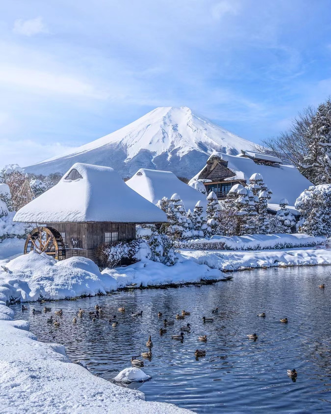 Mt Fuji Instagrammable Tour Sengen Park Lake Kawaguchi Oshino Hakkai