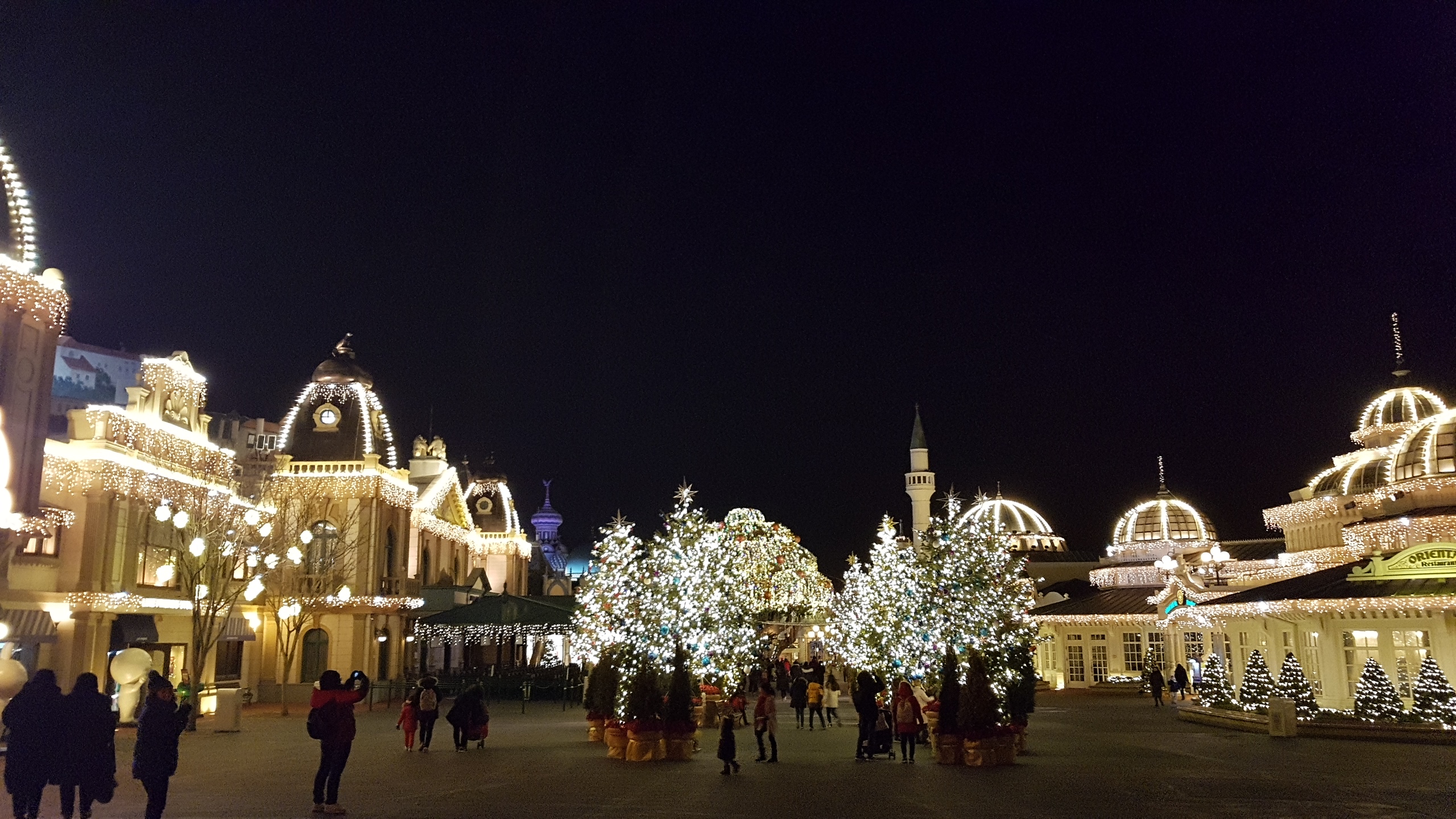 Everland Full Day Trip
