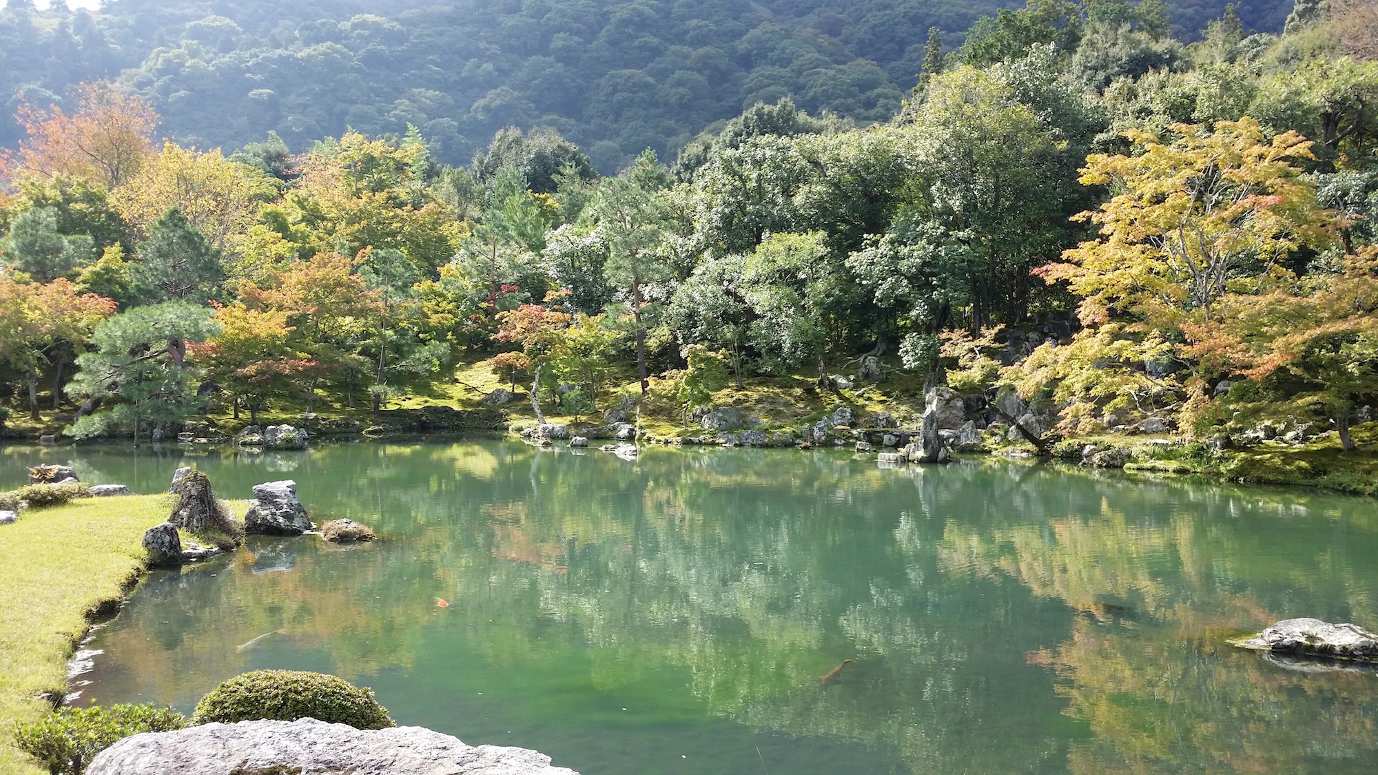 Kyoto: Immersive Arashiyama and Fushimi Inari by private vehicle