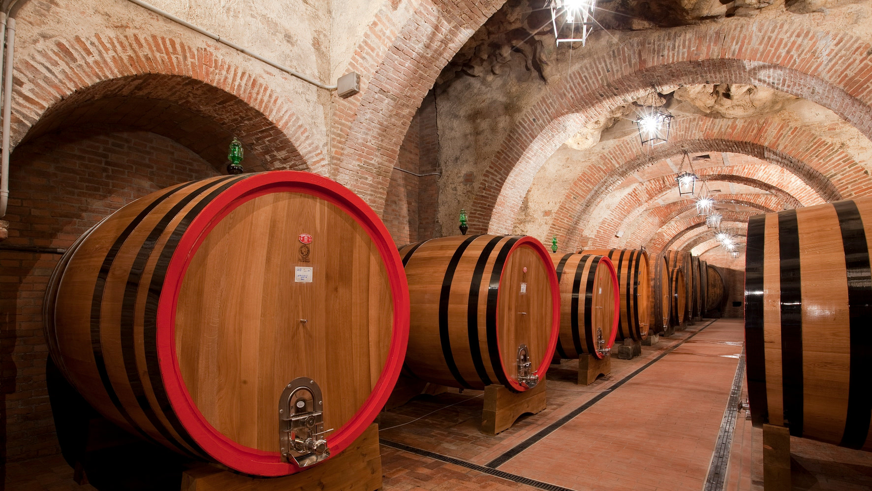 Montepulciano Half-Day Small Group Wine Tasting Tour