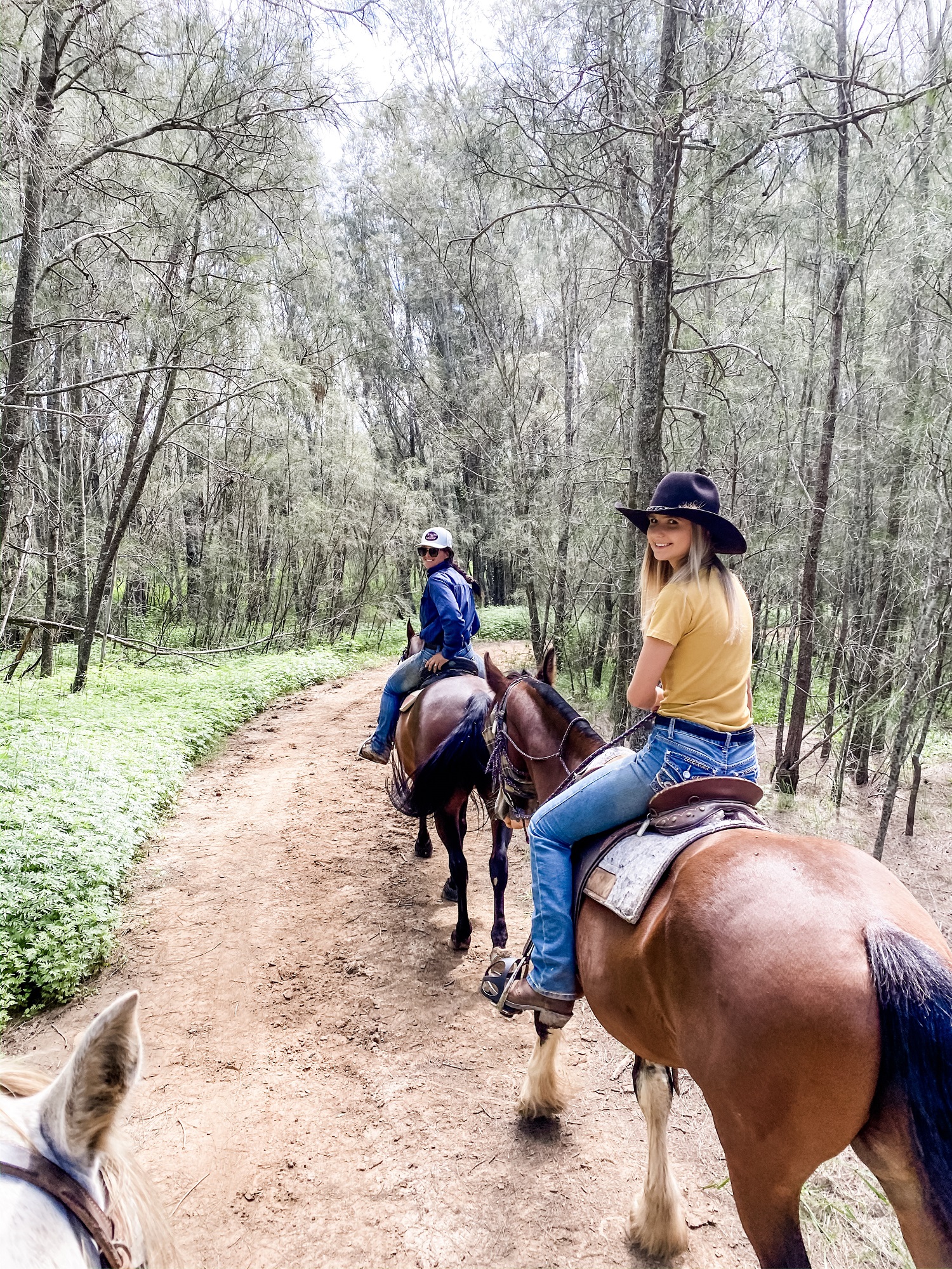 獵人谷野外林地小徑私人騎馬體驗