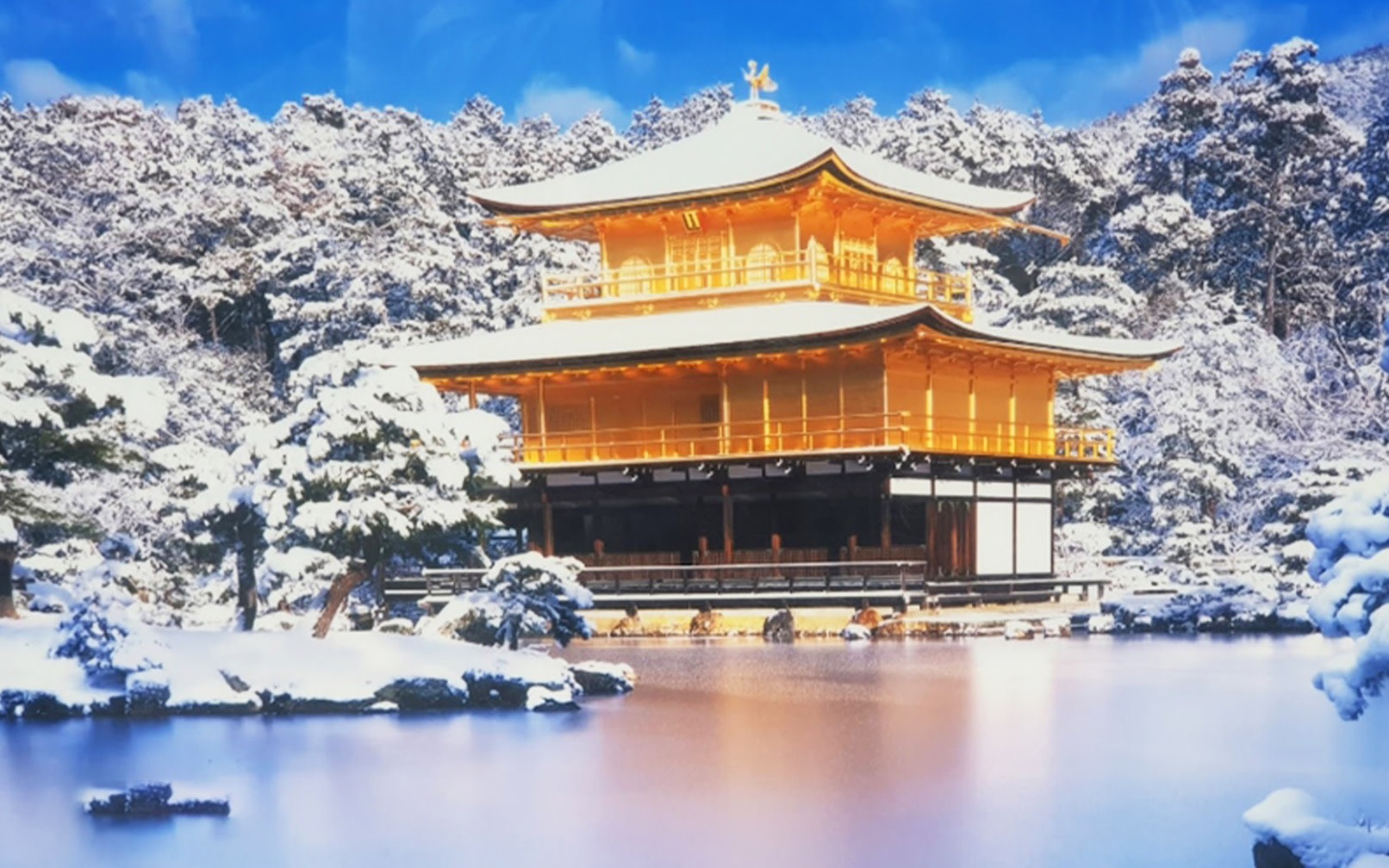 Fushimi Inari Shrine & Kinkaku-ji (Golden Pavilion) & Light Cycles Kyoto Botanical Garden Light Show & Yasaka Shrine Night Tour Day Trip