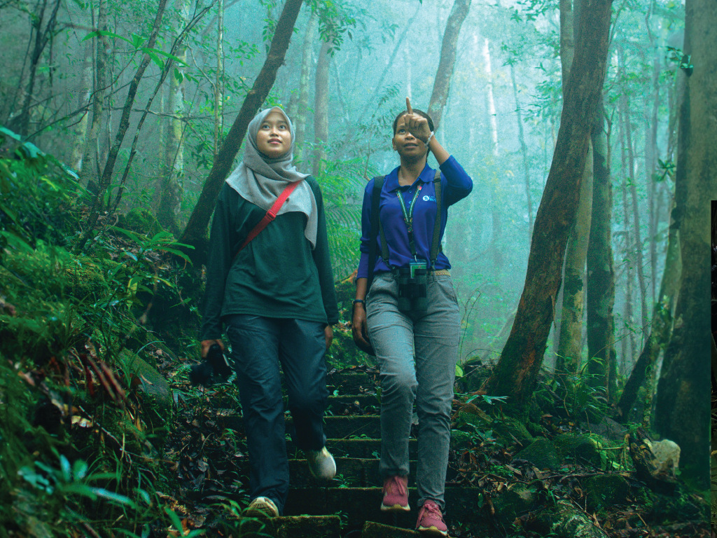 Langkawi SkyTrail Hiking and Cable Car Experience