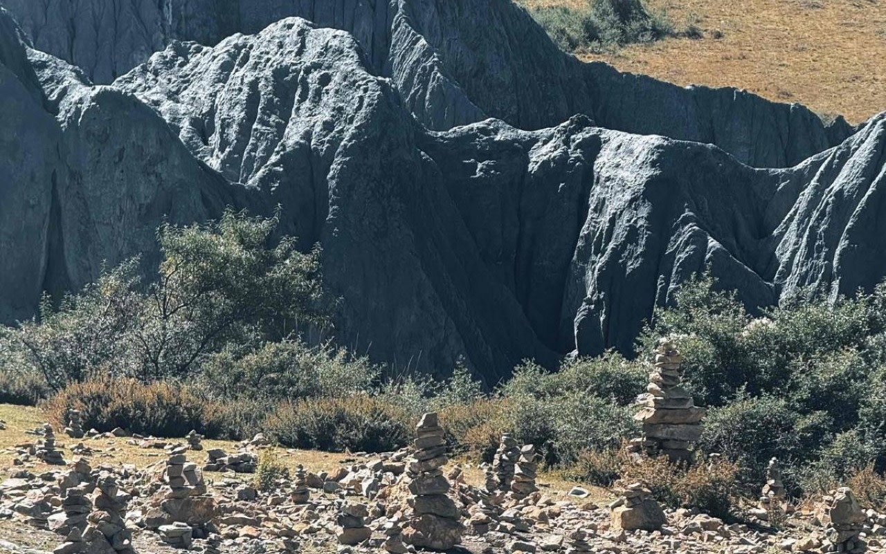 Moshi Park Scenic Area