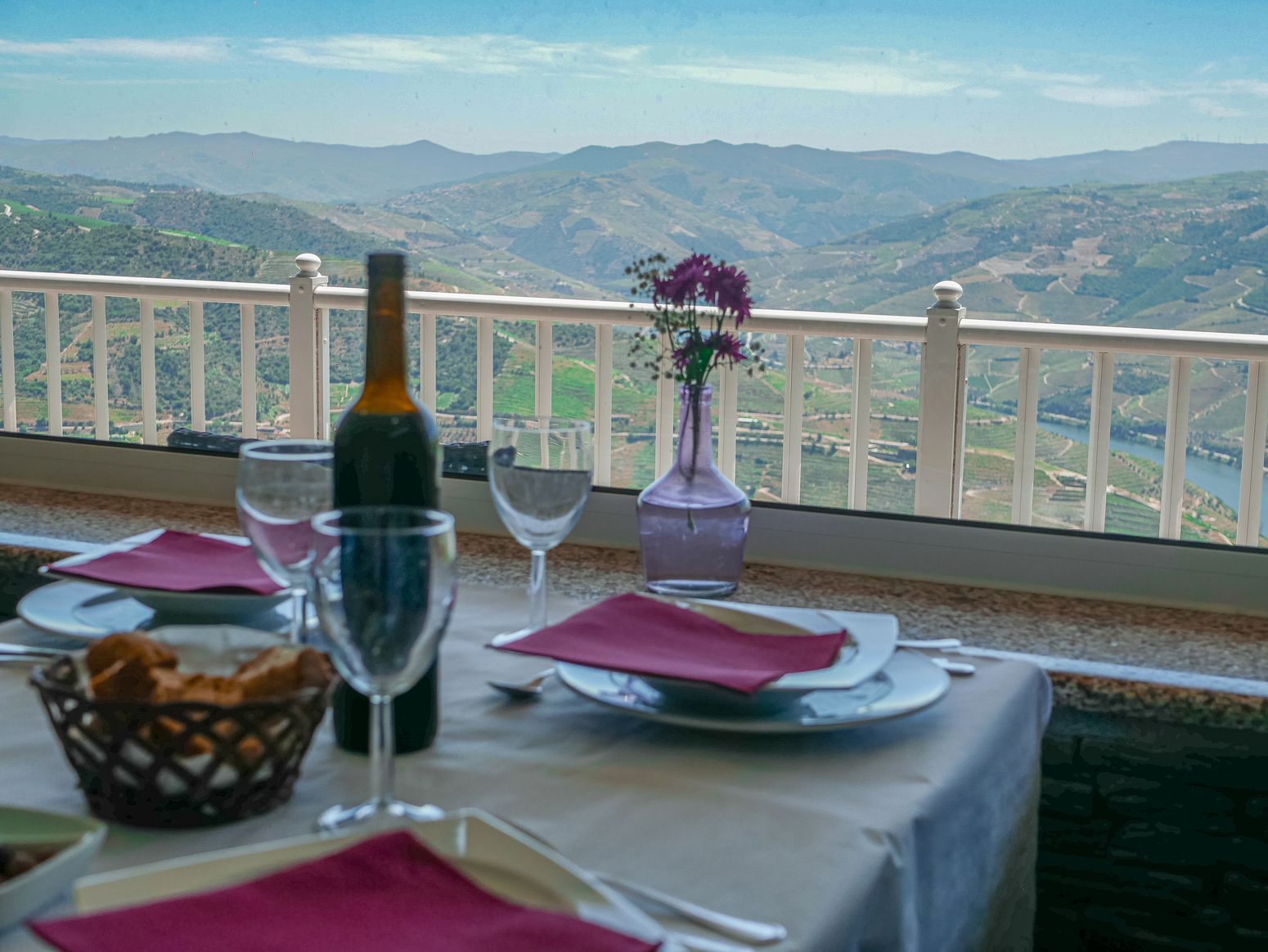 Douro Valley Wine & History Tour with Cruise & Lunch