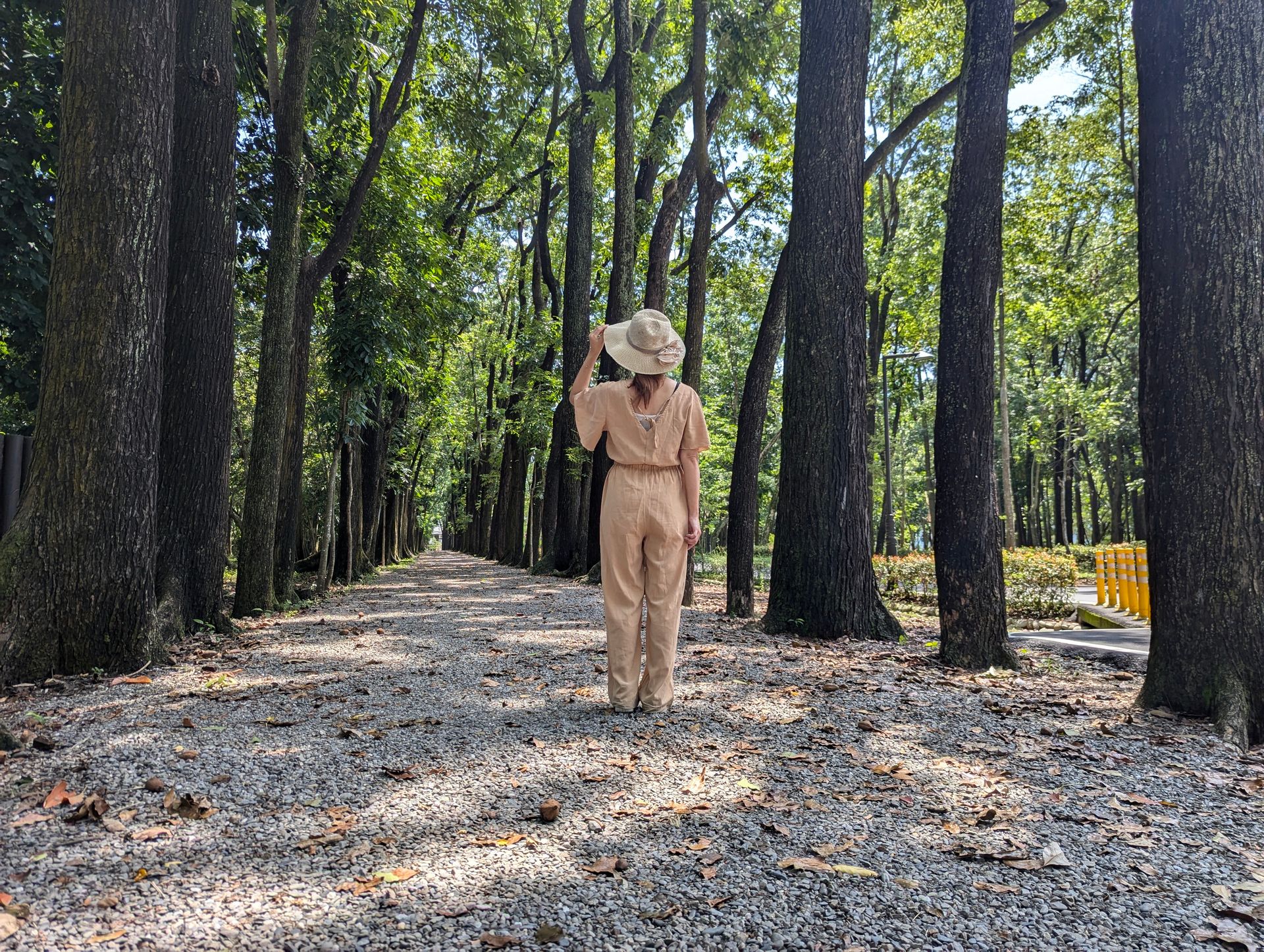 六龜里山深度一日漫遊