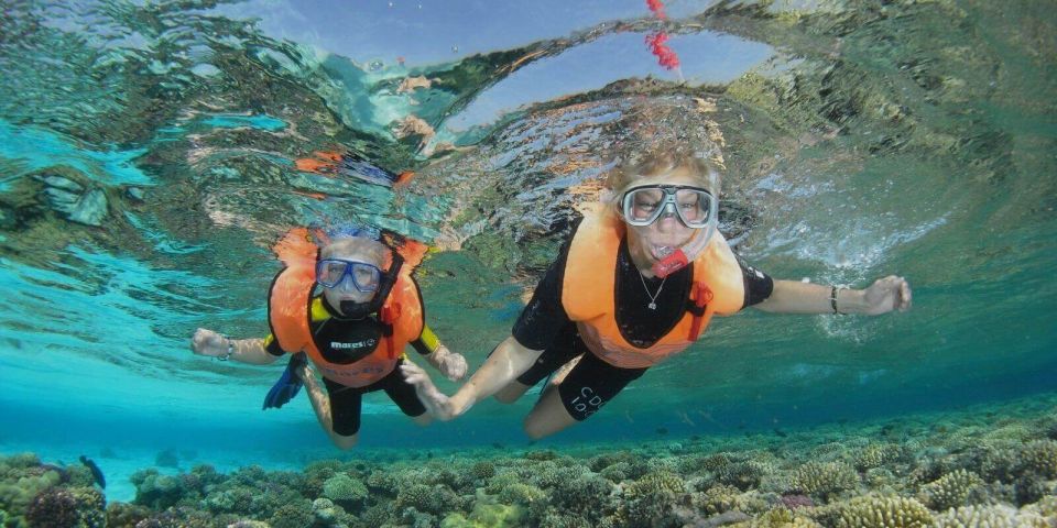沙姆沙伊赫：拉斯穆罕默德潛水遊船之旅（含私人接送）