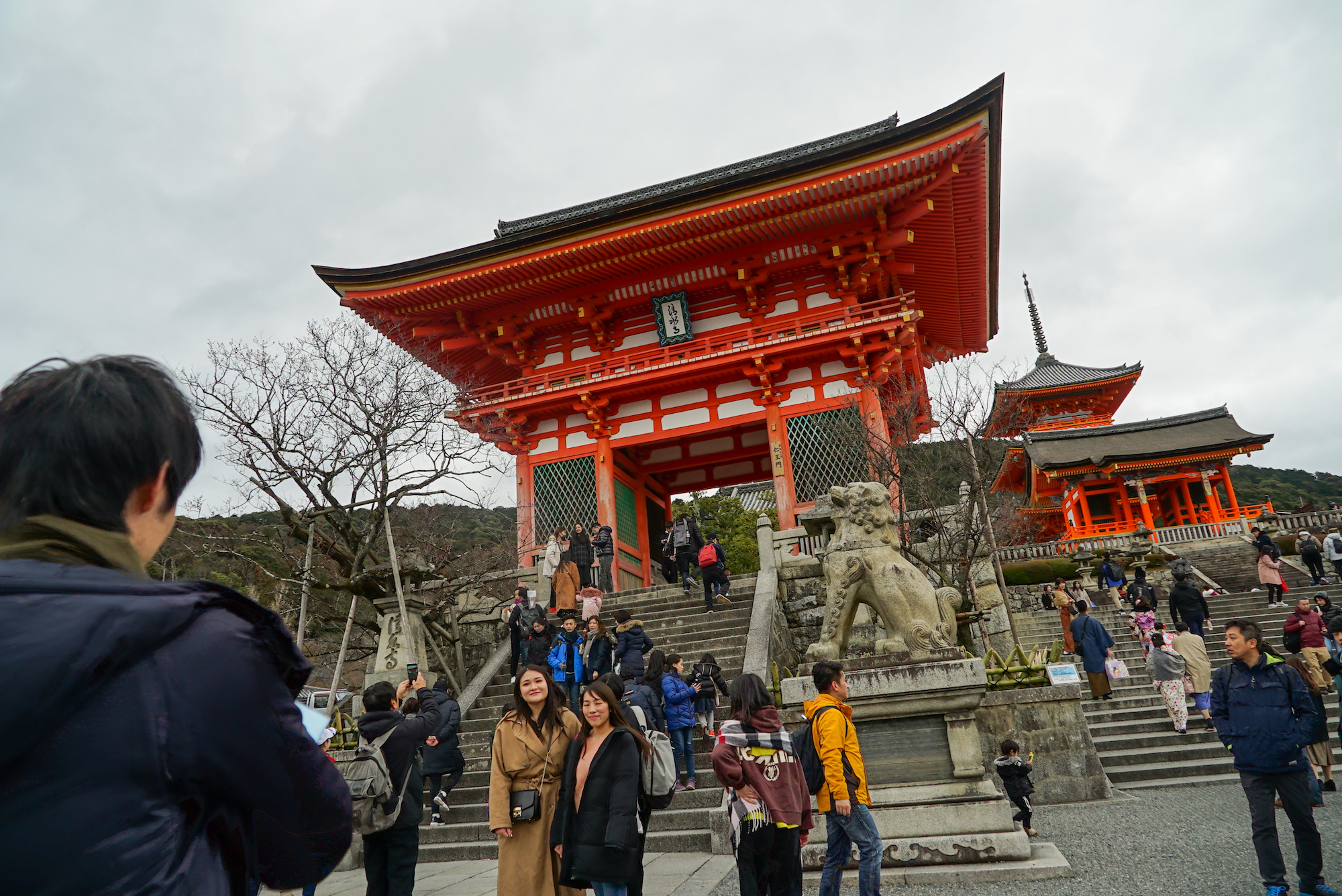 京都茶道 & 清水寺徒步之旅