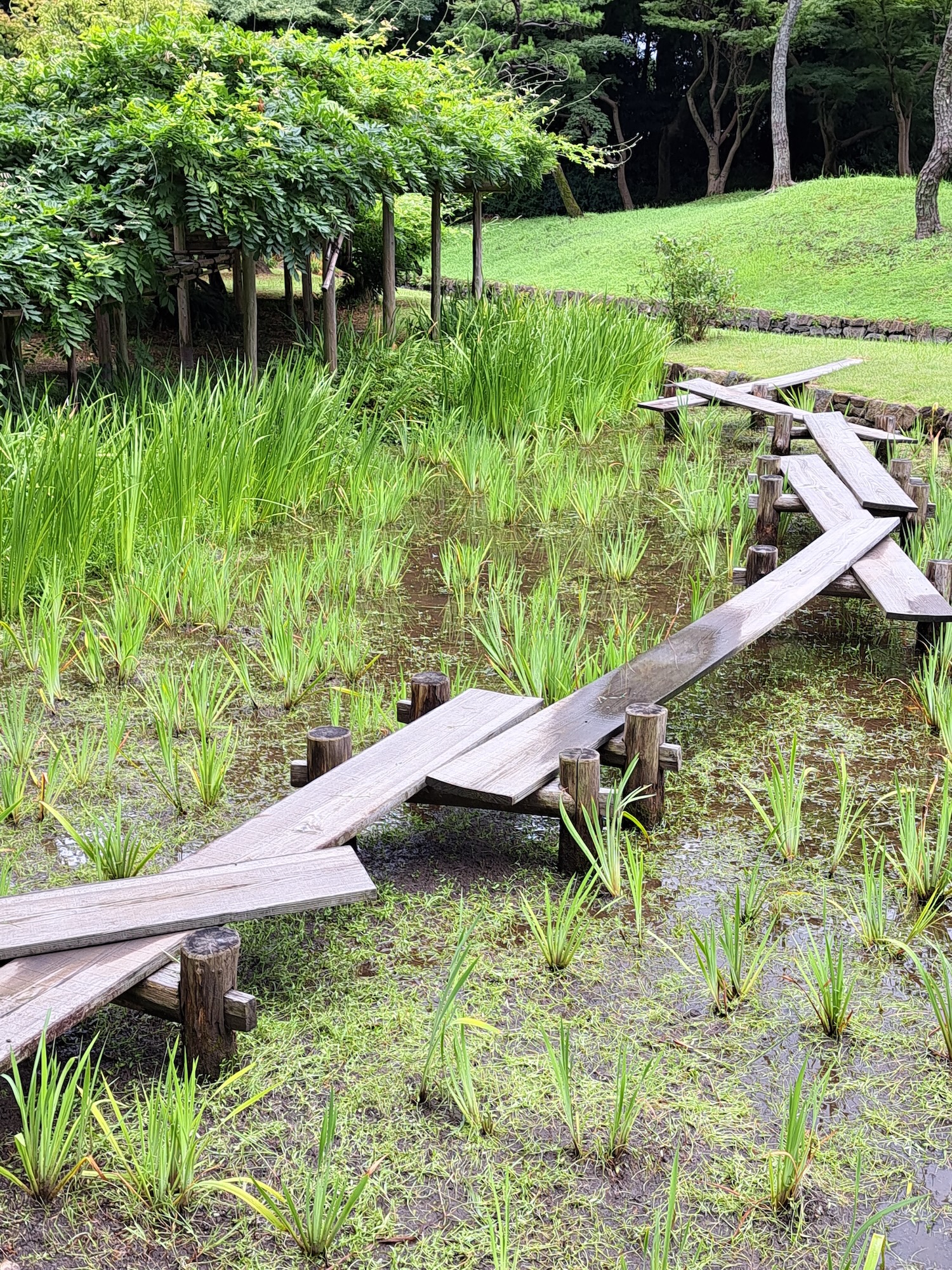 從淺草出發：探索東京古城、寺廟、庭園與流行文化