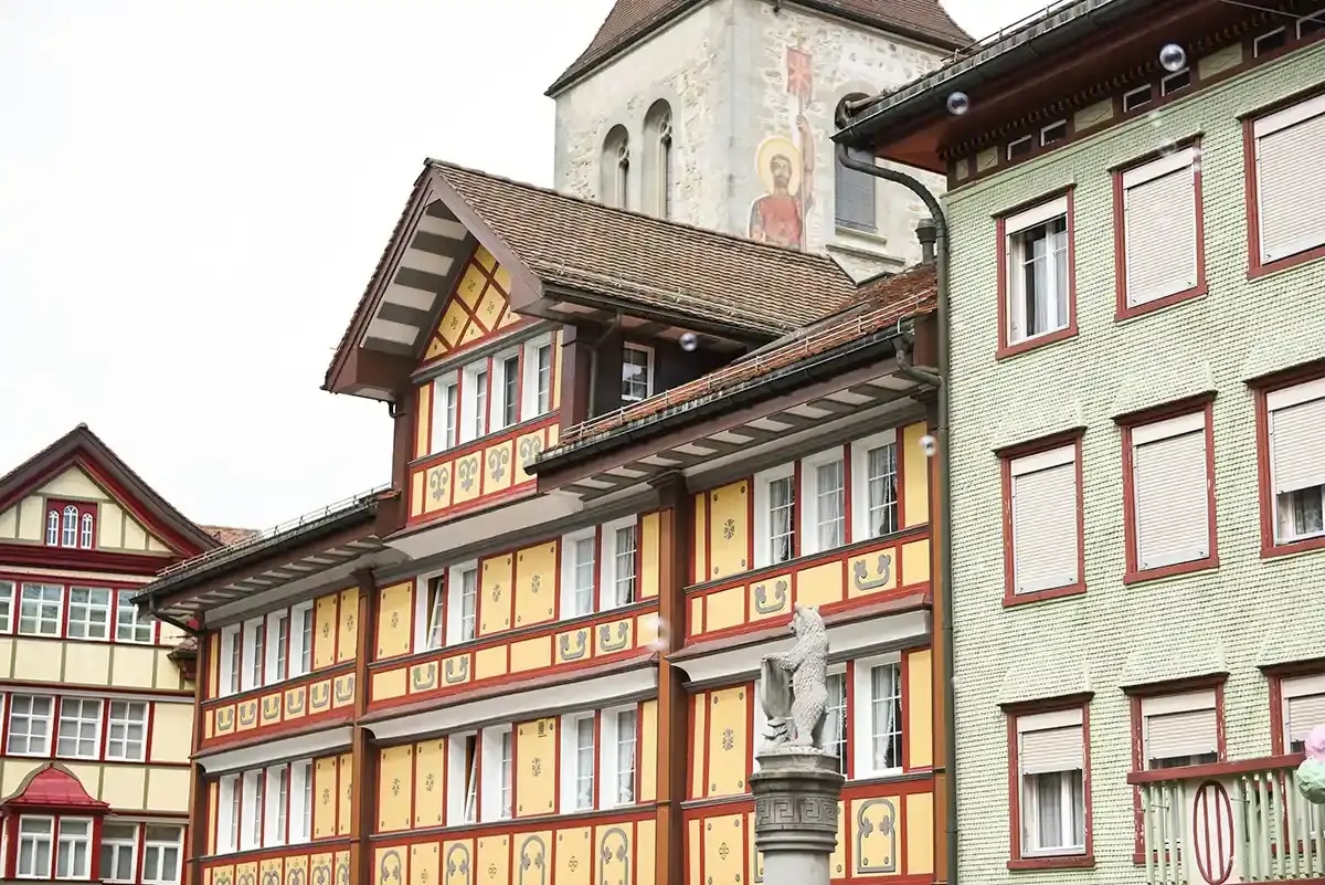 Image 5